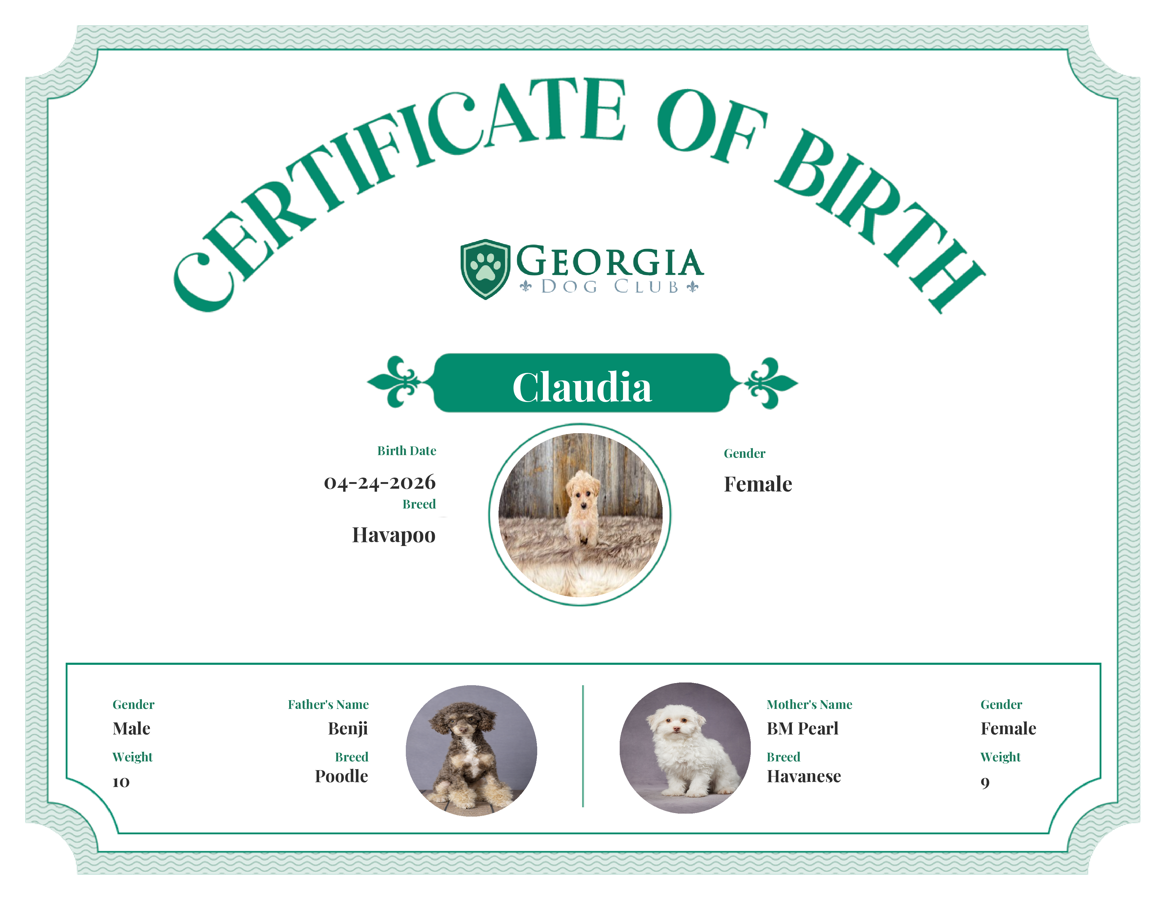 Claudia's Birth Certificate