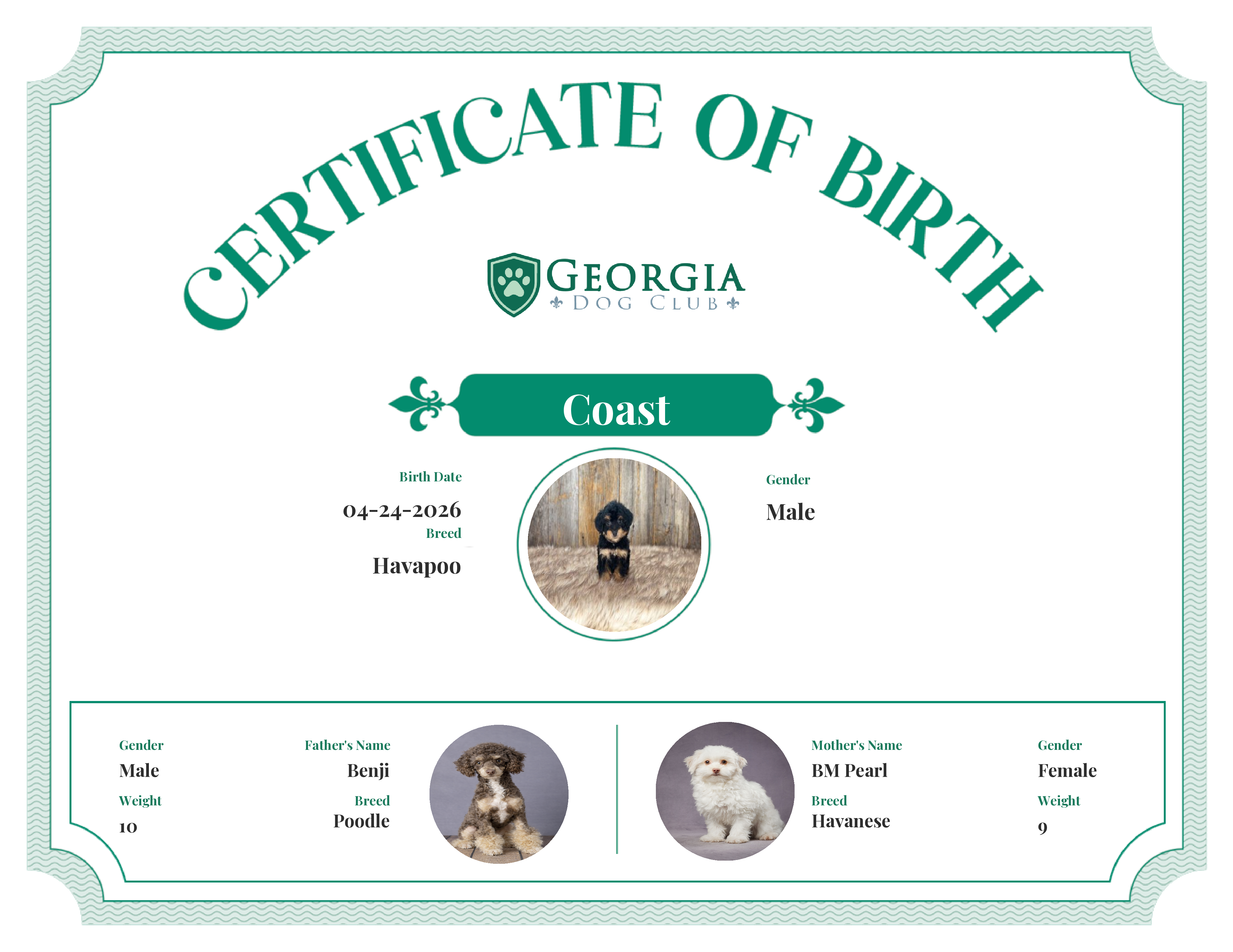 Coast's Birth Certificate