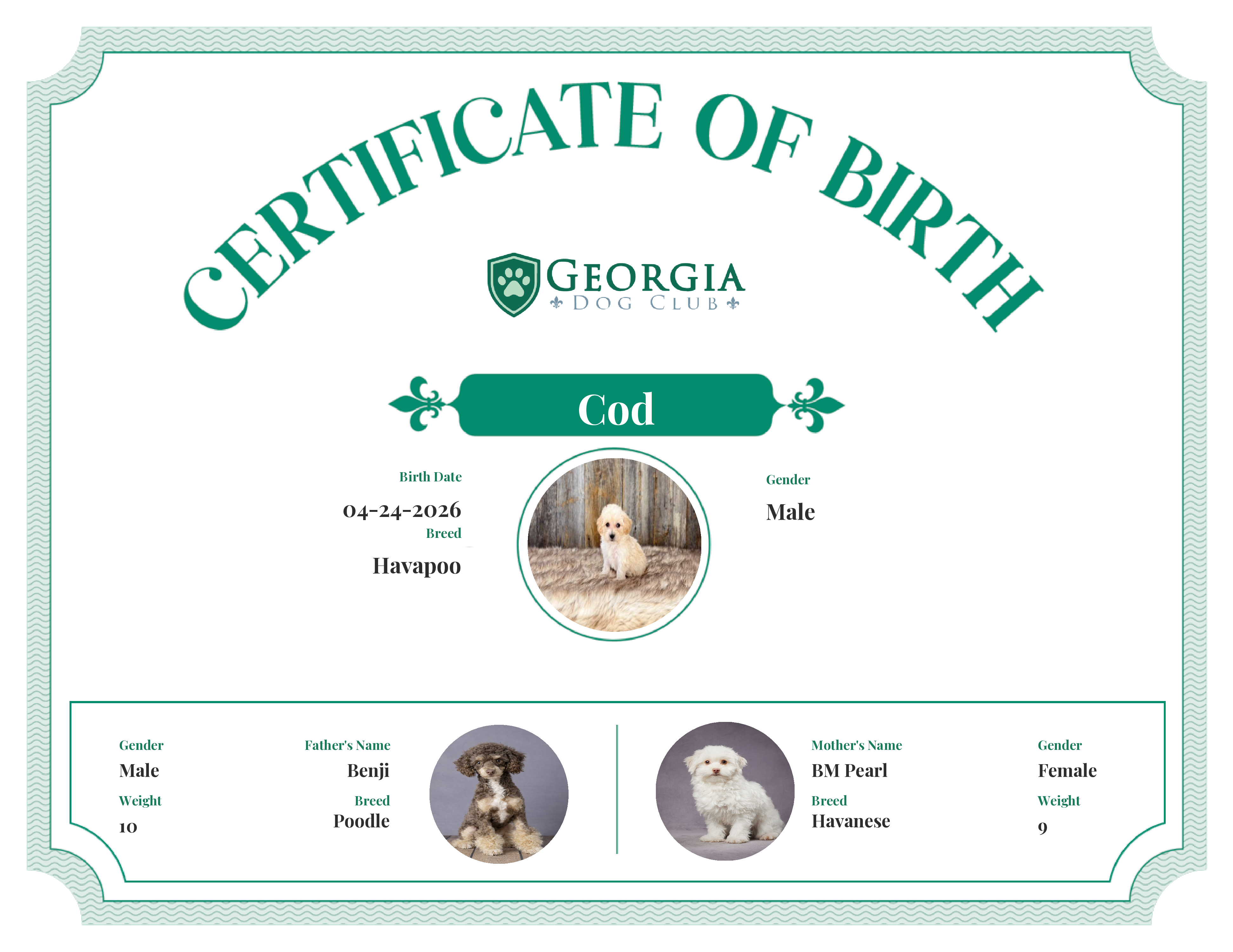 Cod's Birth Certificate