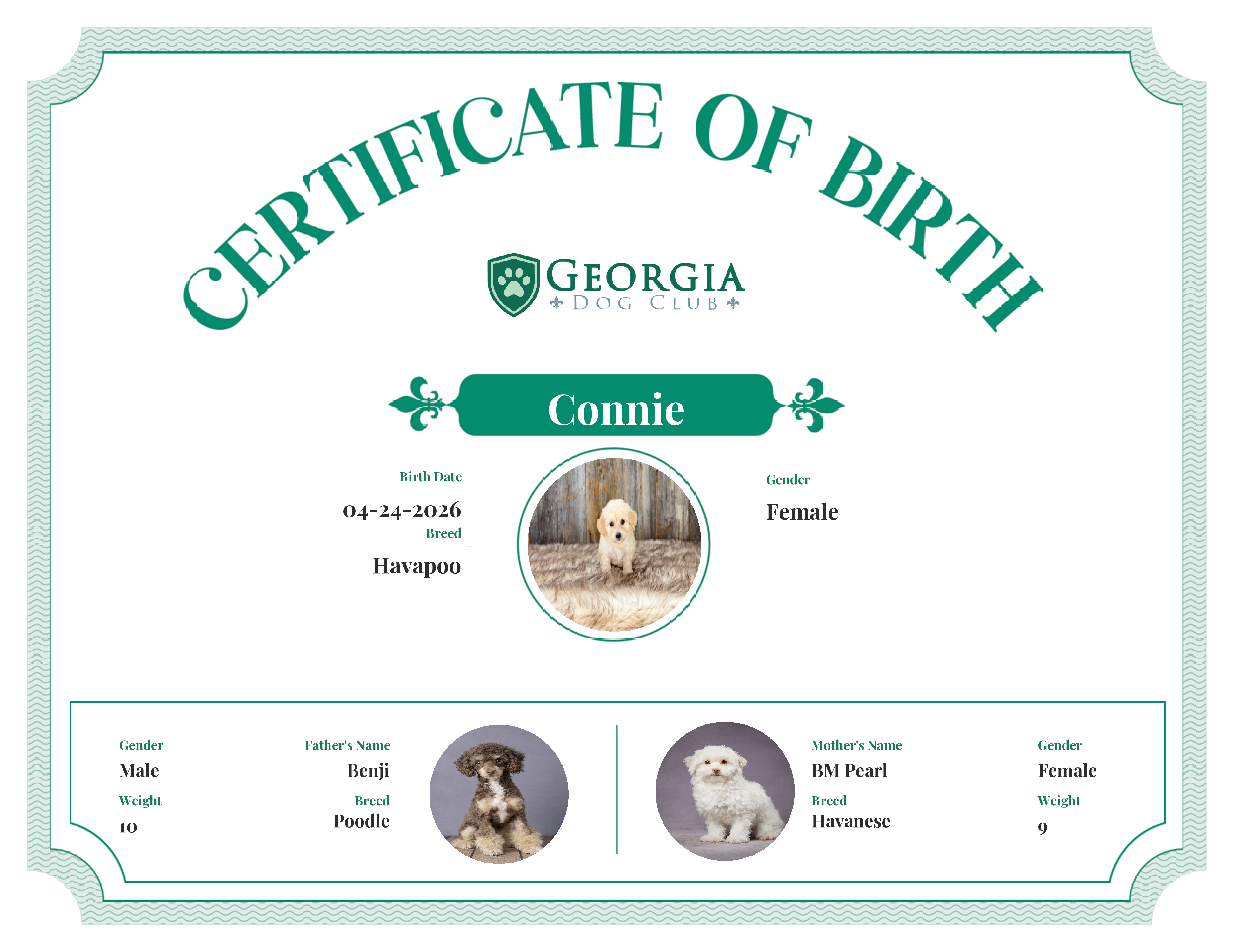 Connie's Birth Certificate
