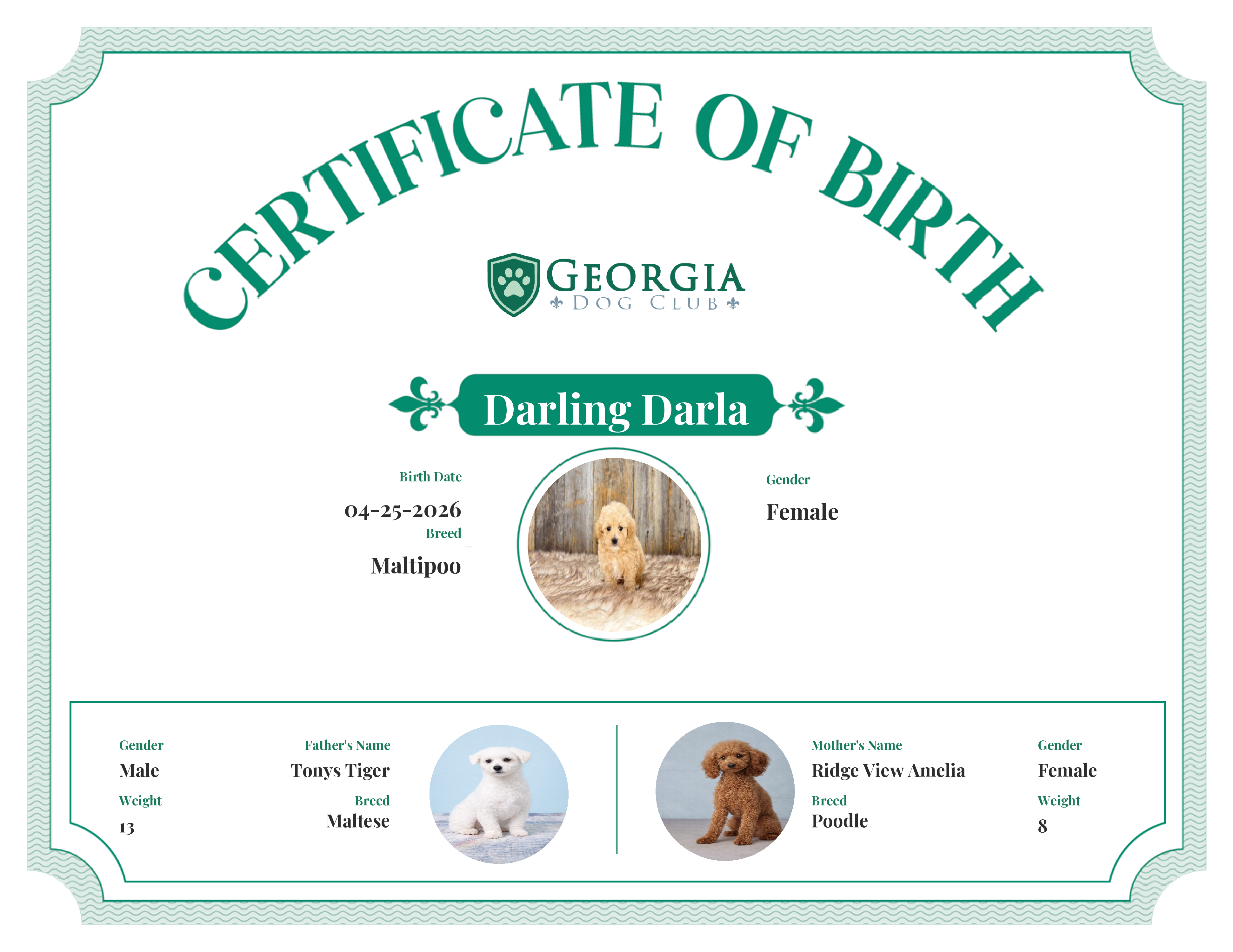 Darling Darla's Birth Certificate