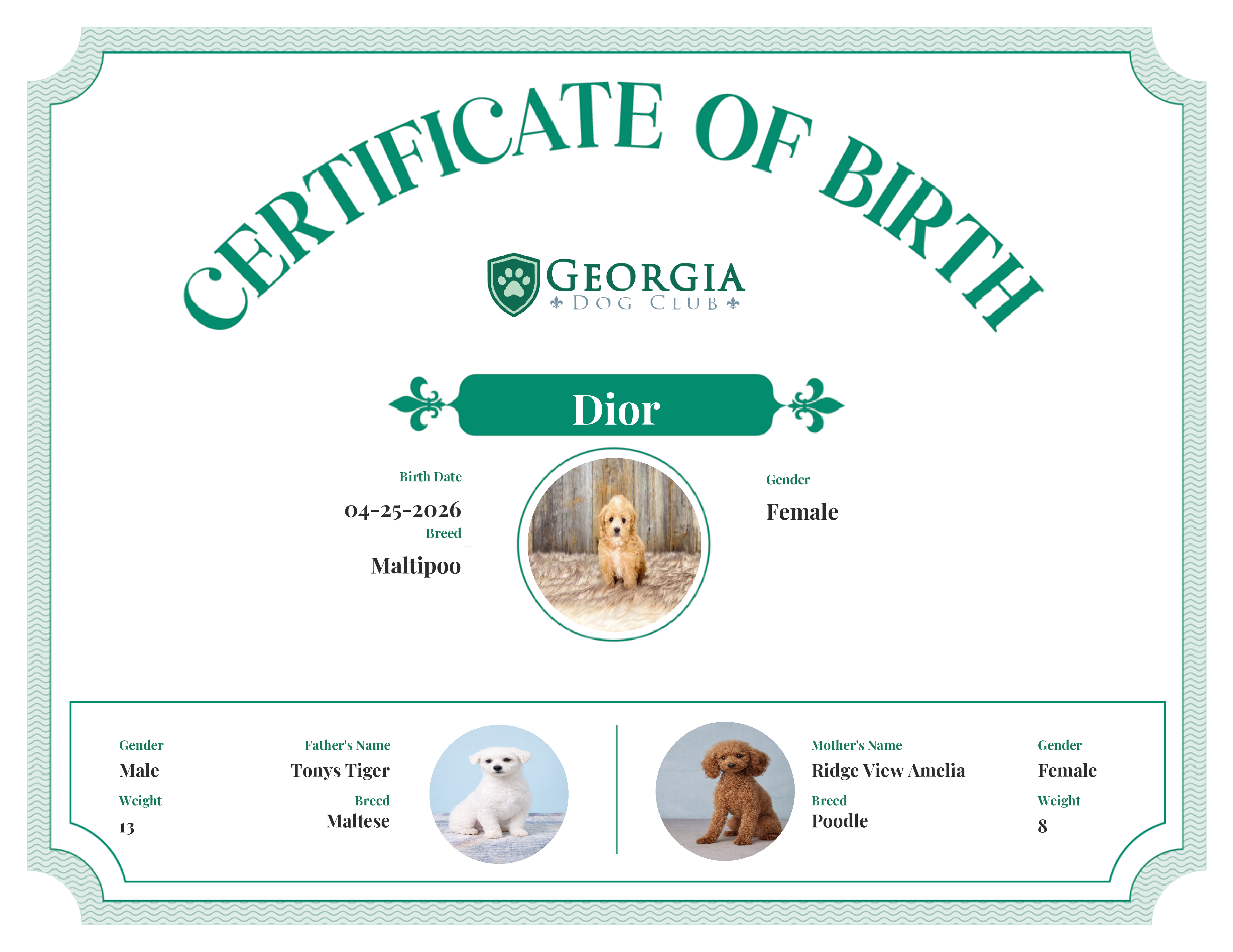 Dior's Birth Certificate