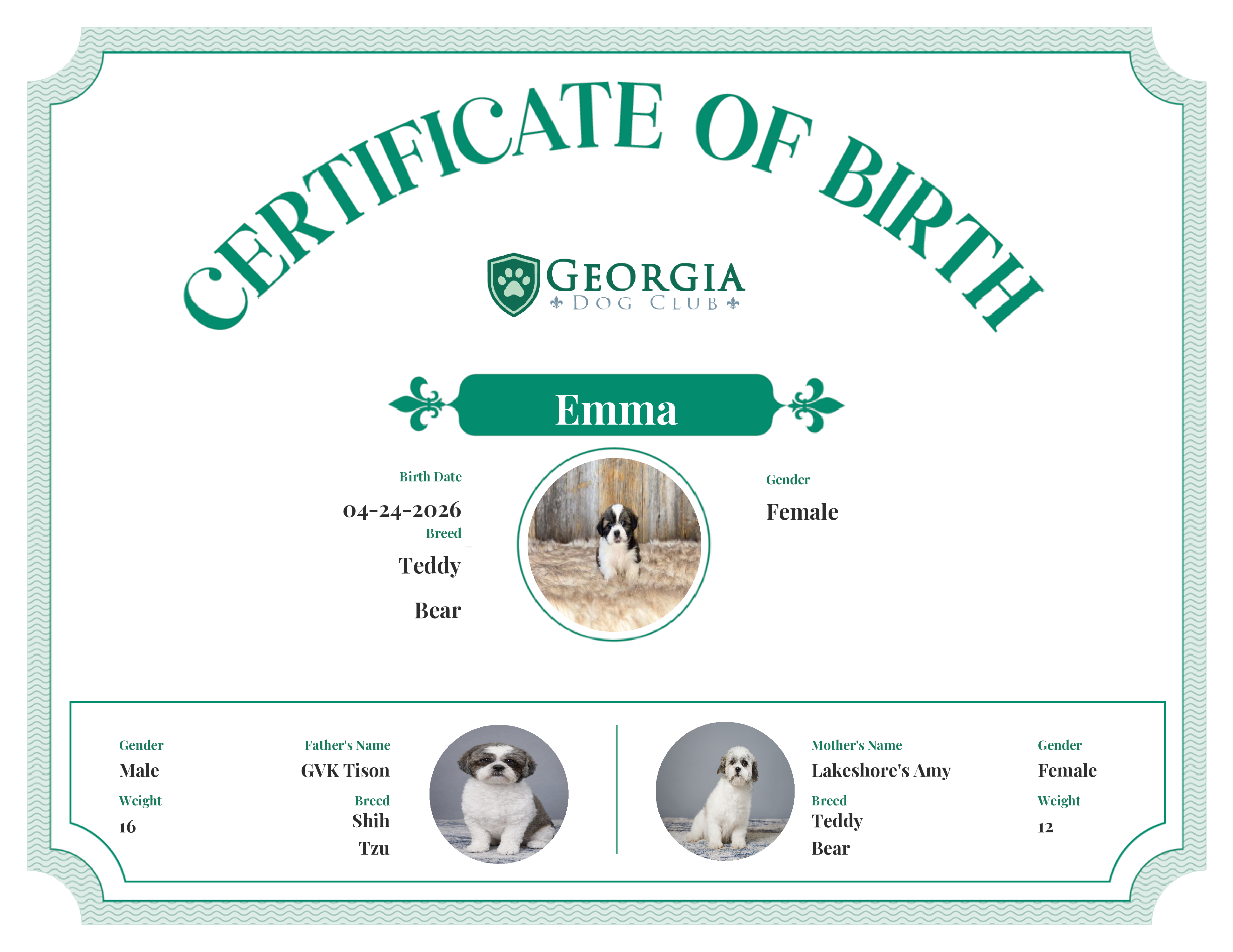Emma's Birth Certificate