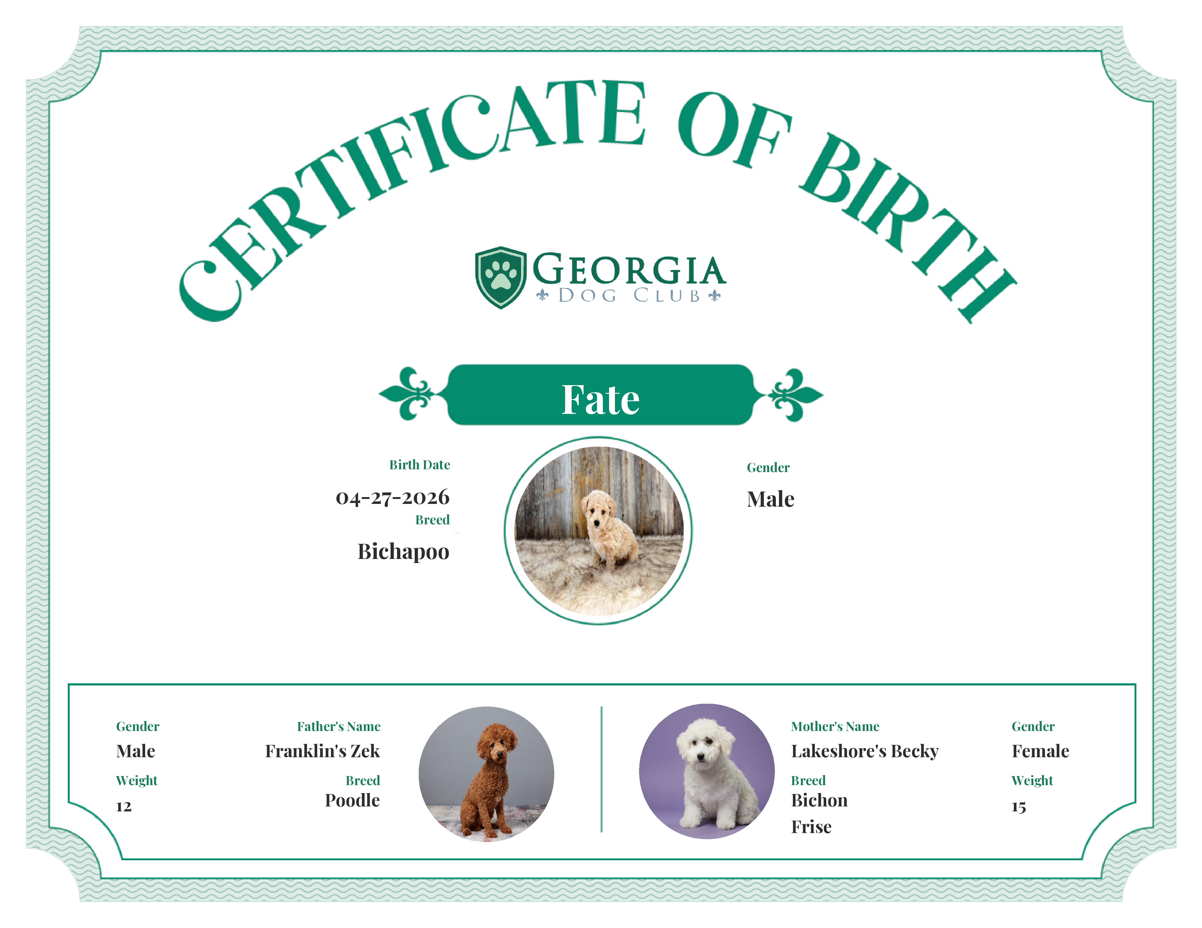 Fate's Birth Certificate