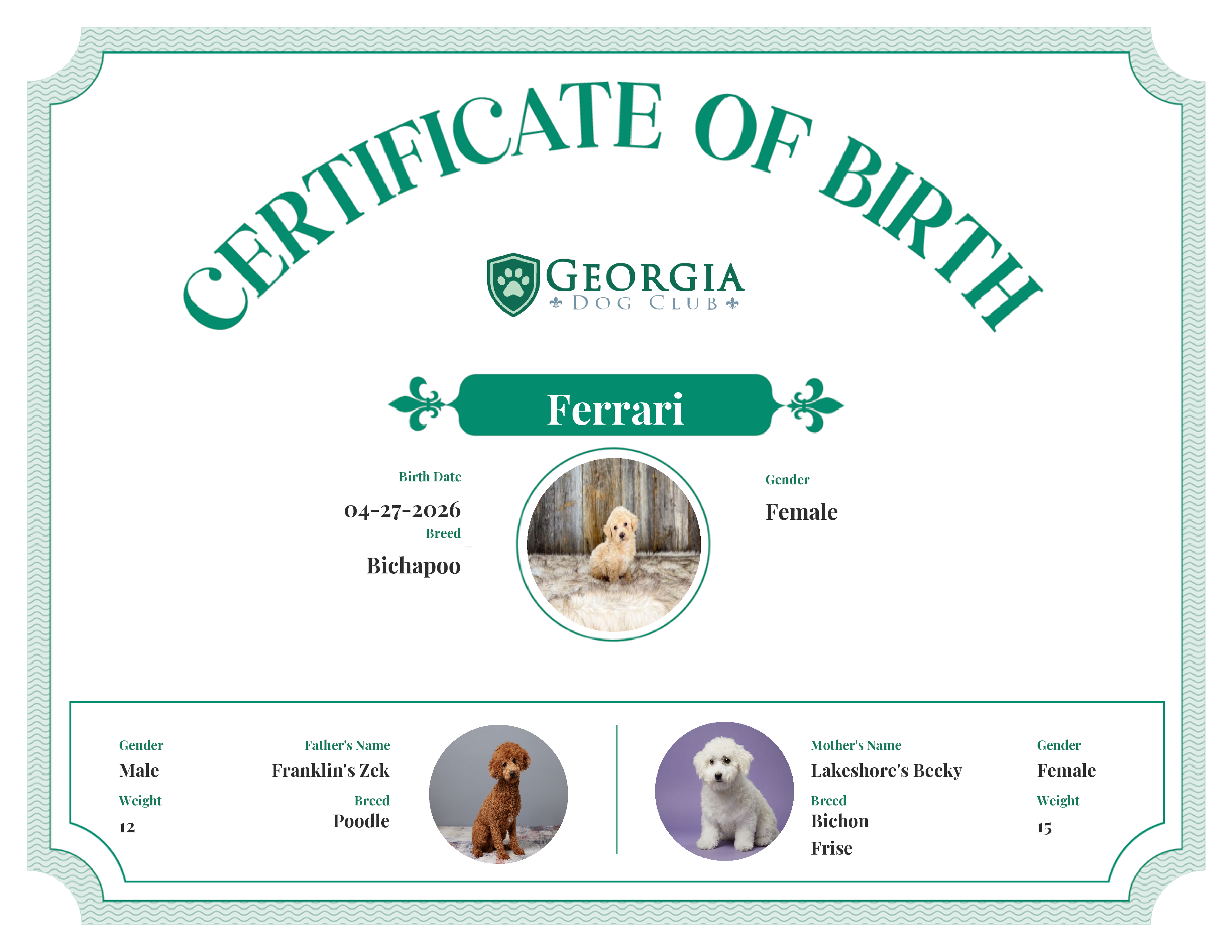 Ferrari's Birth Certificate