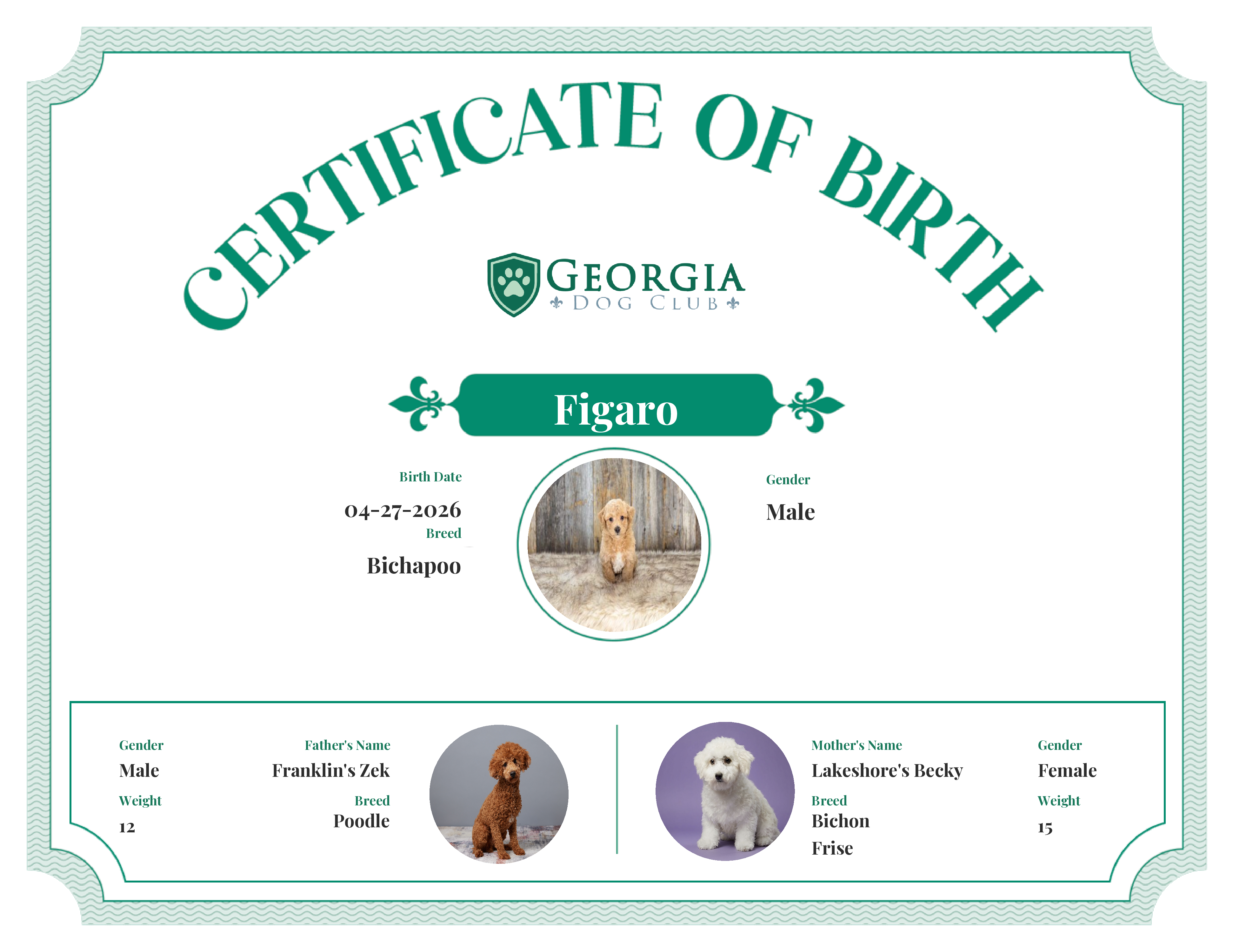 Figaro's Birth Certificate