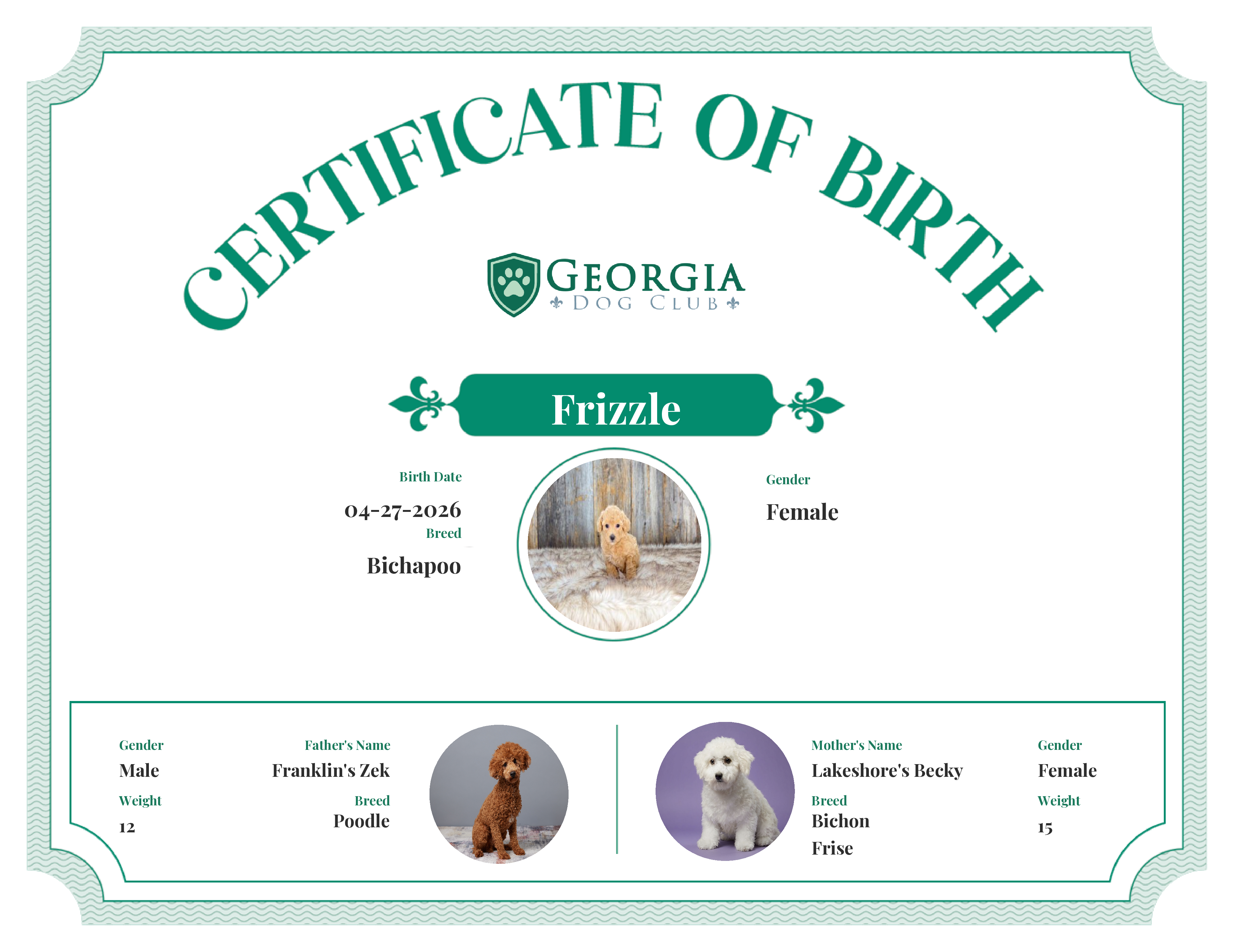 Frizzle's Birth Certificate