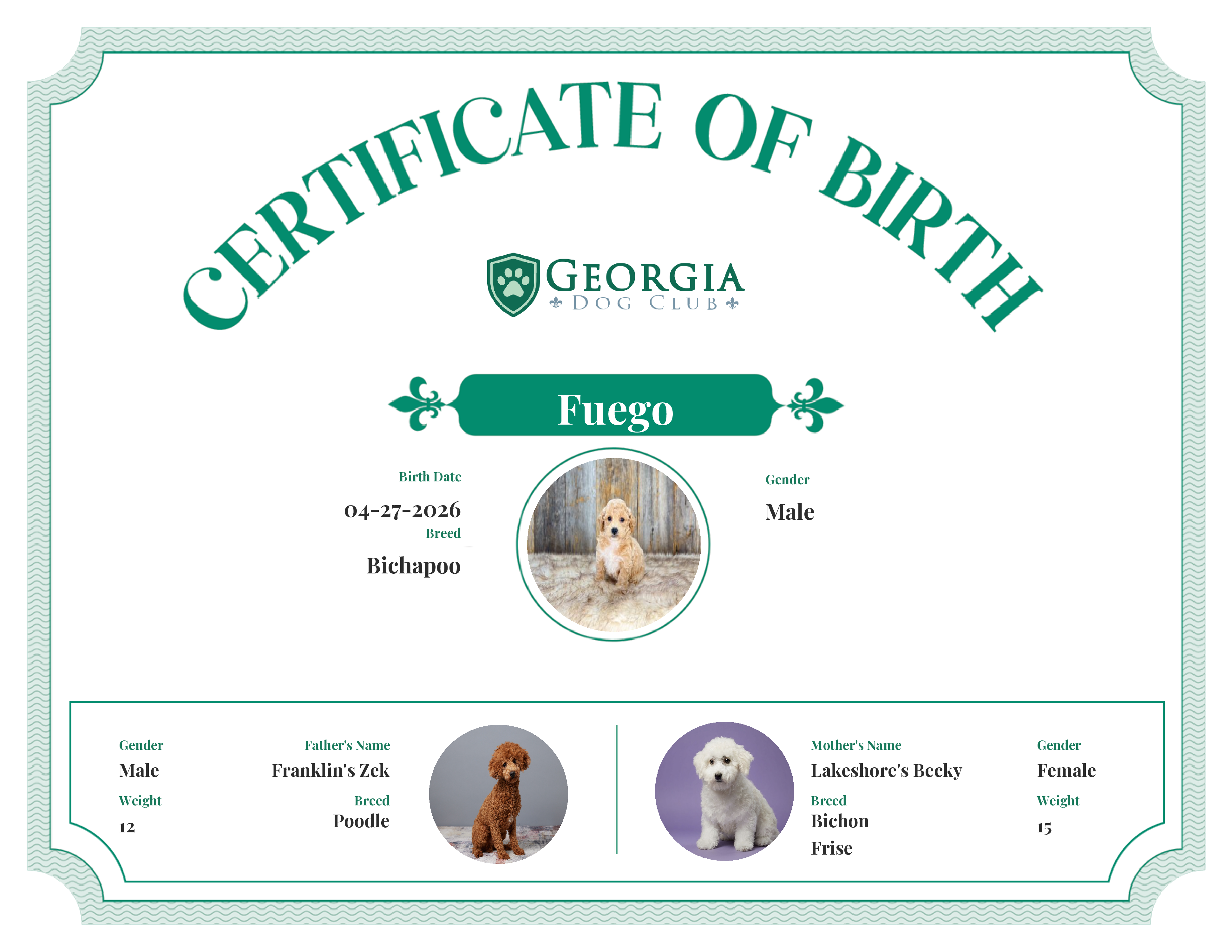 Fuego's Birth Certificate