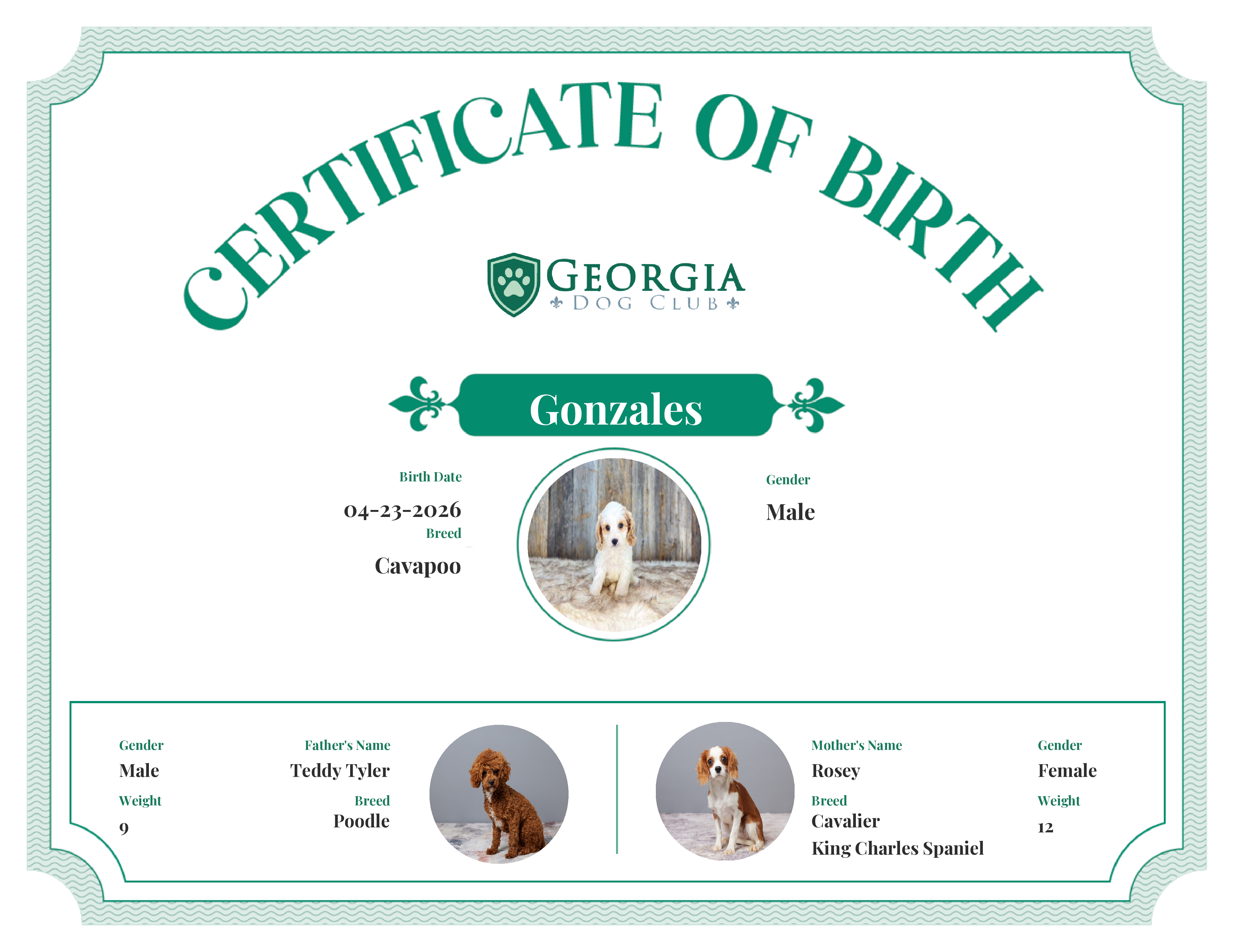 Gonzales's Birth Certificate