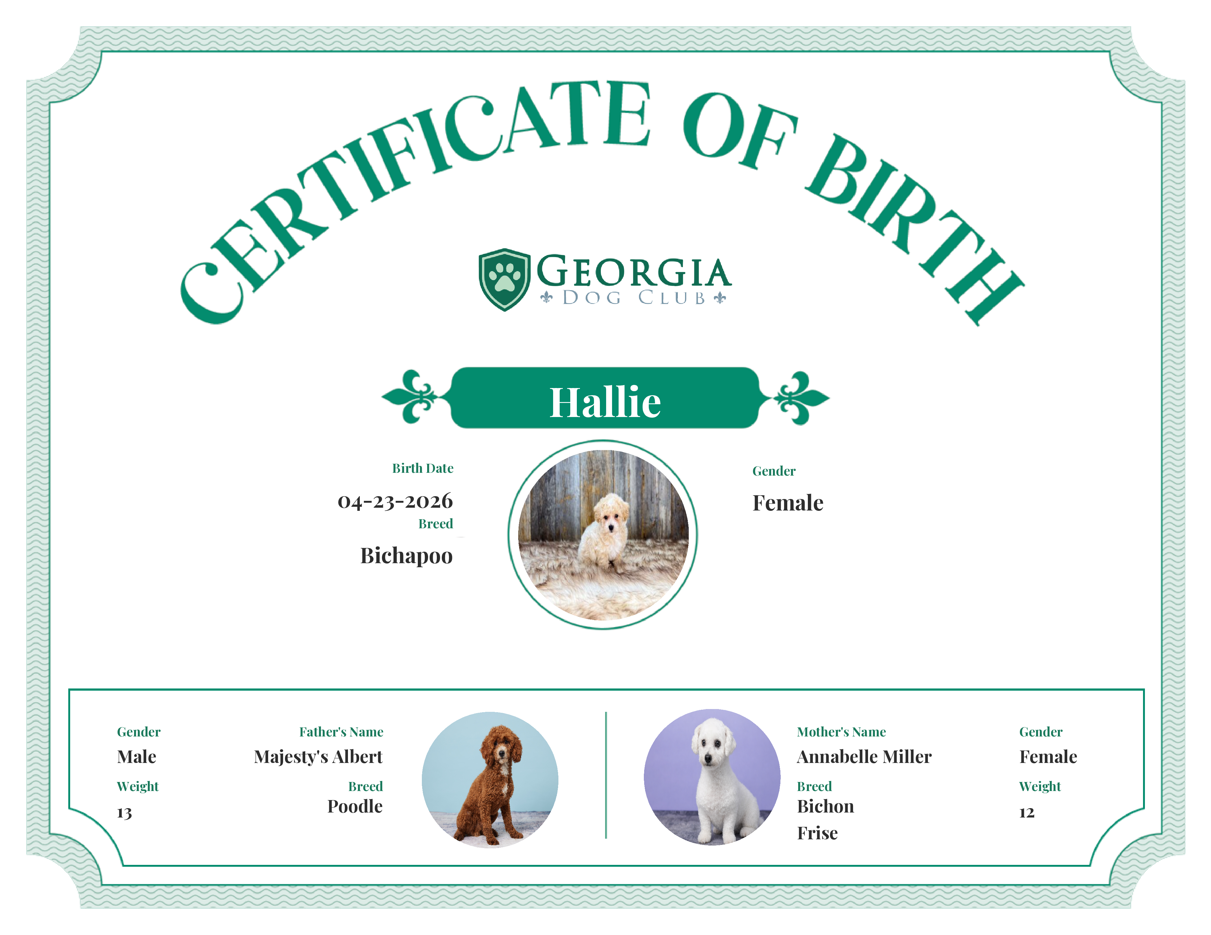 Hallie's Birth Certificate