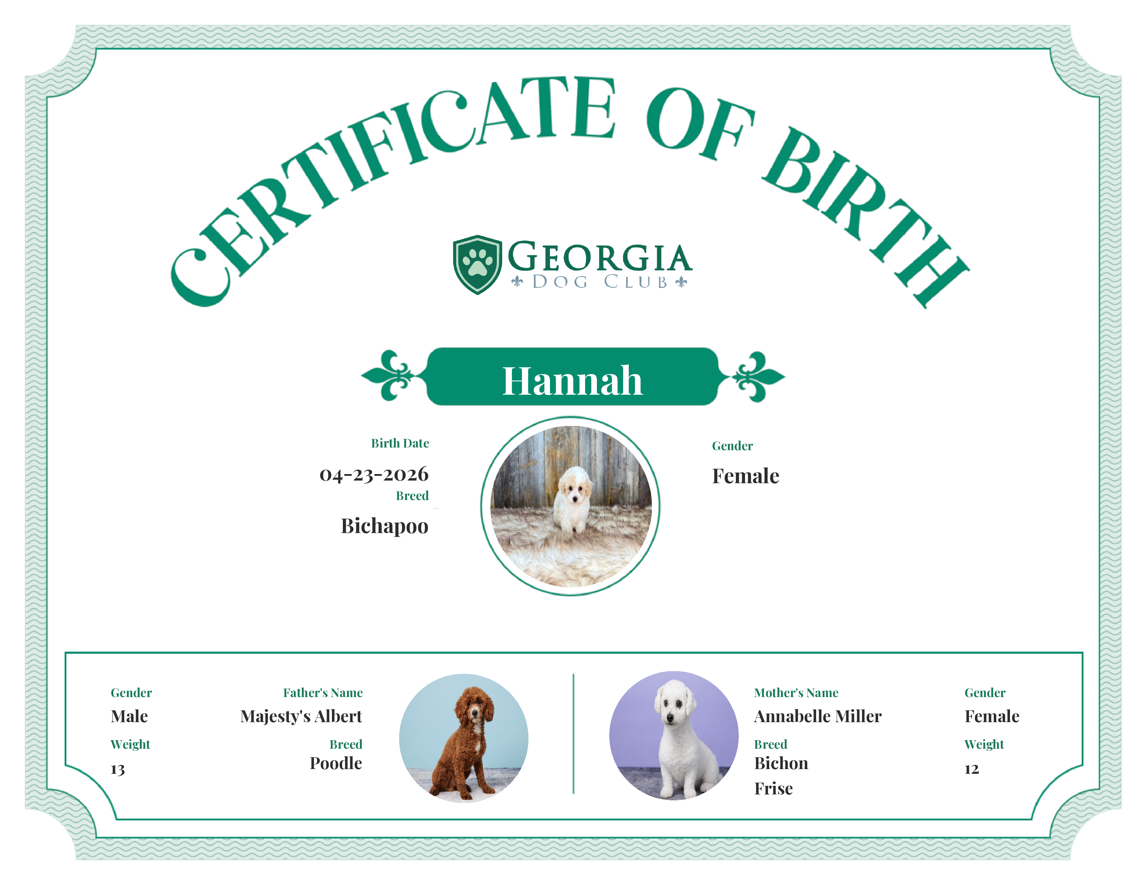 Hannah's Birth Certificate