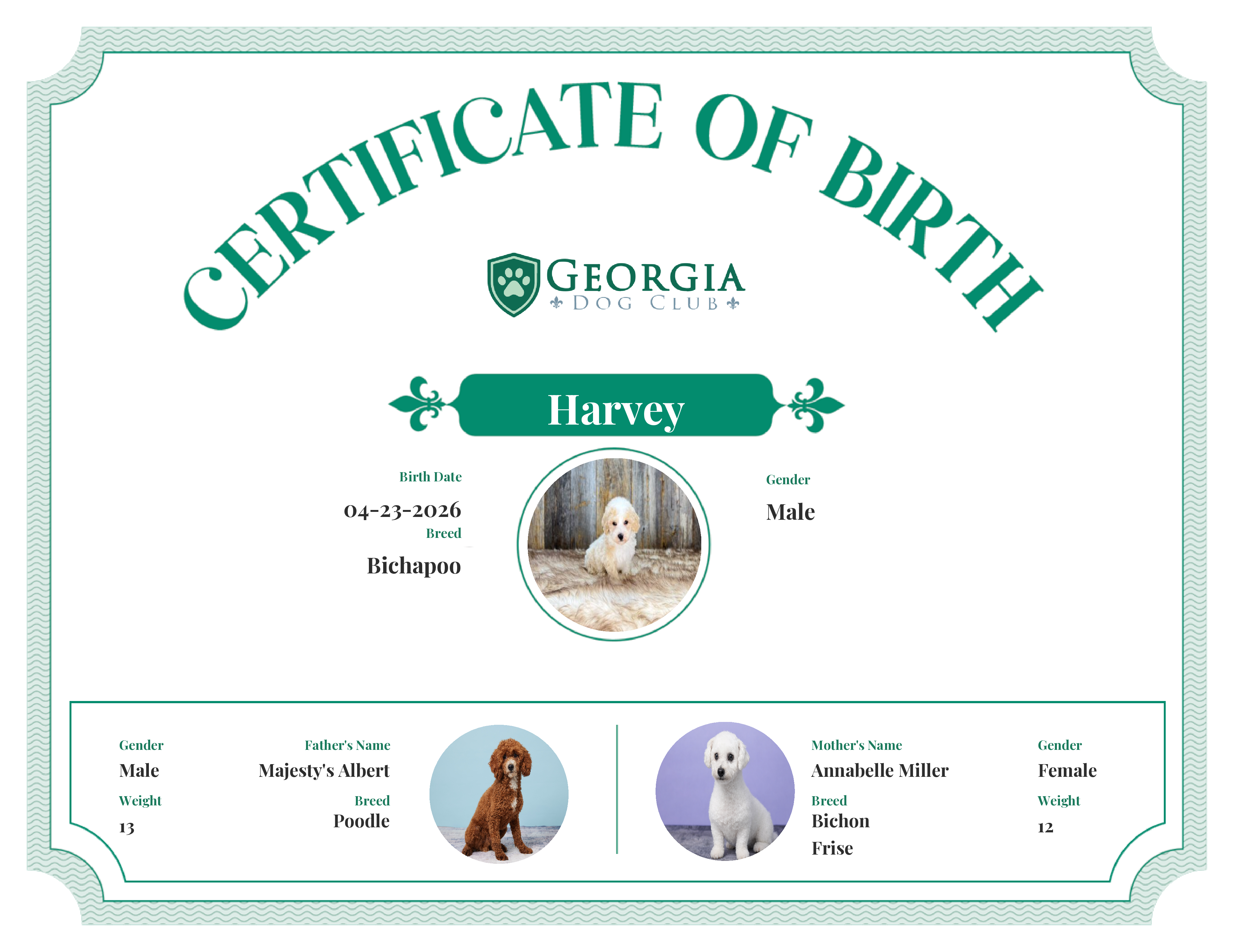 Harvey's Birth Certificate