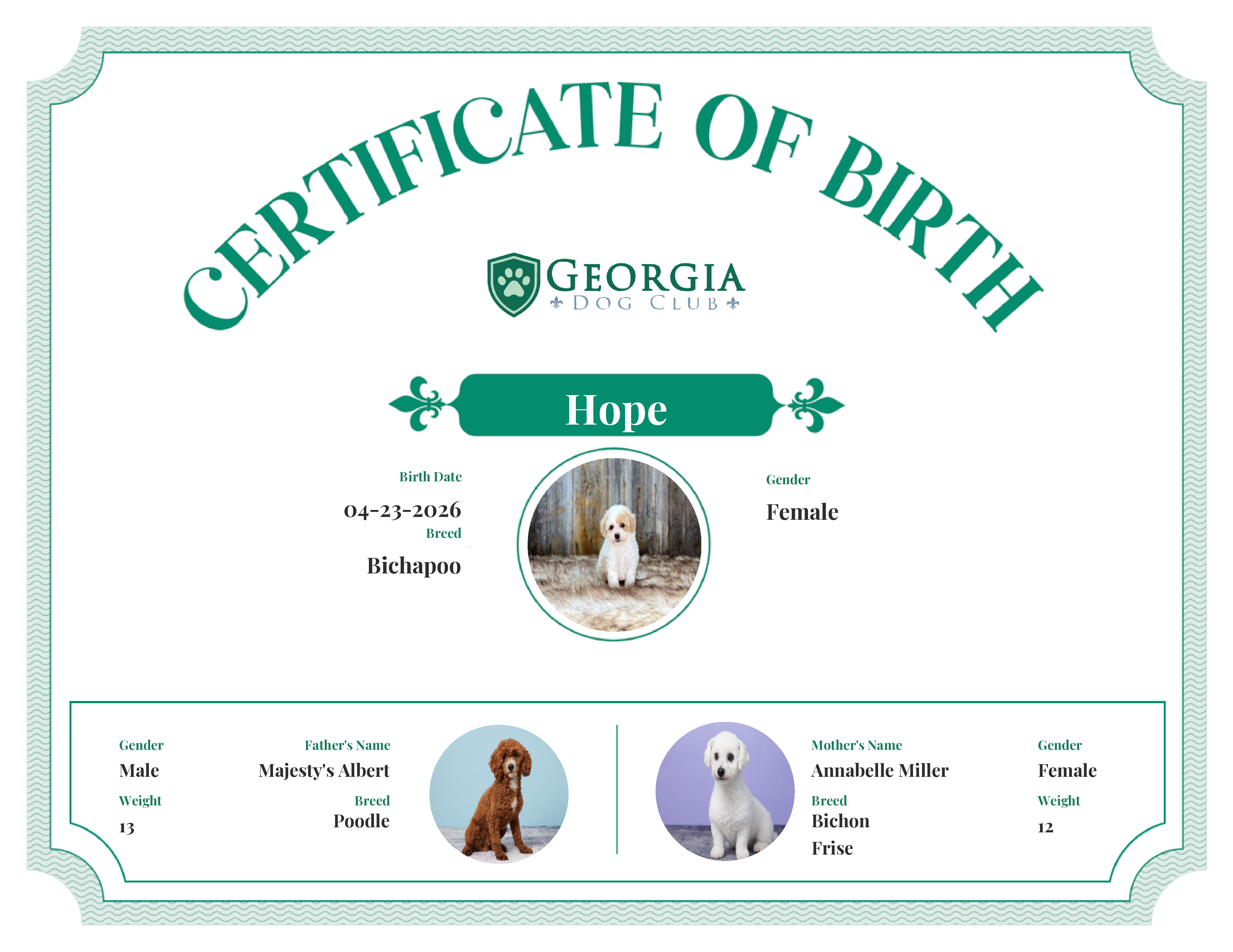 Hope's Birth Certificate