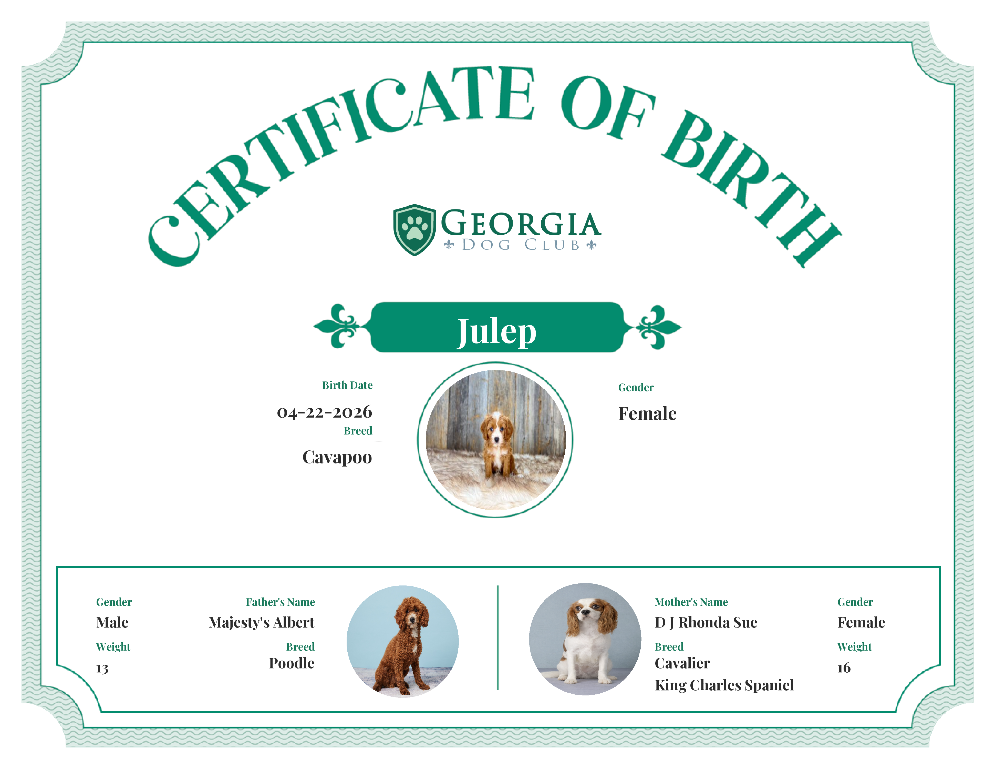 Julep's Birth Certificate