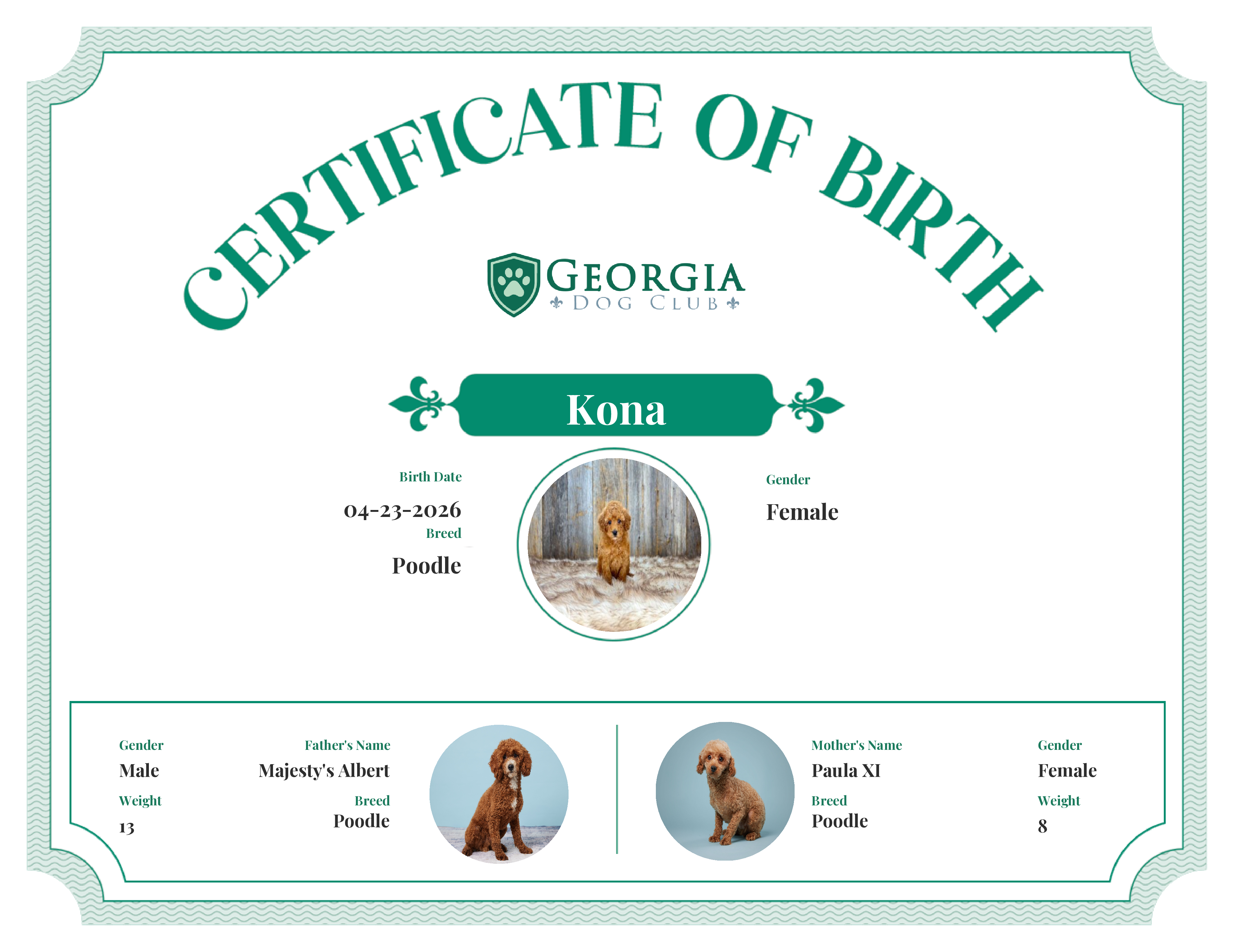 Kona's Birth Certificate