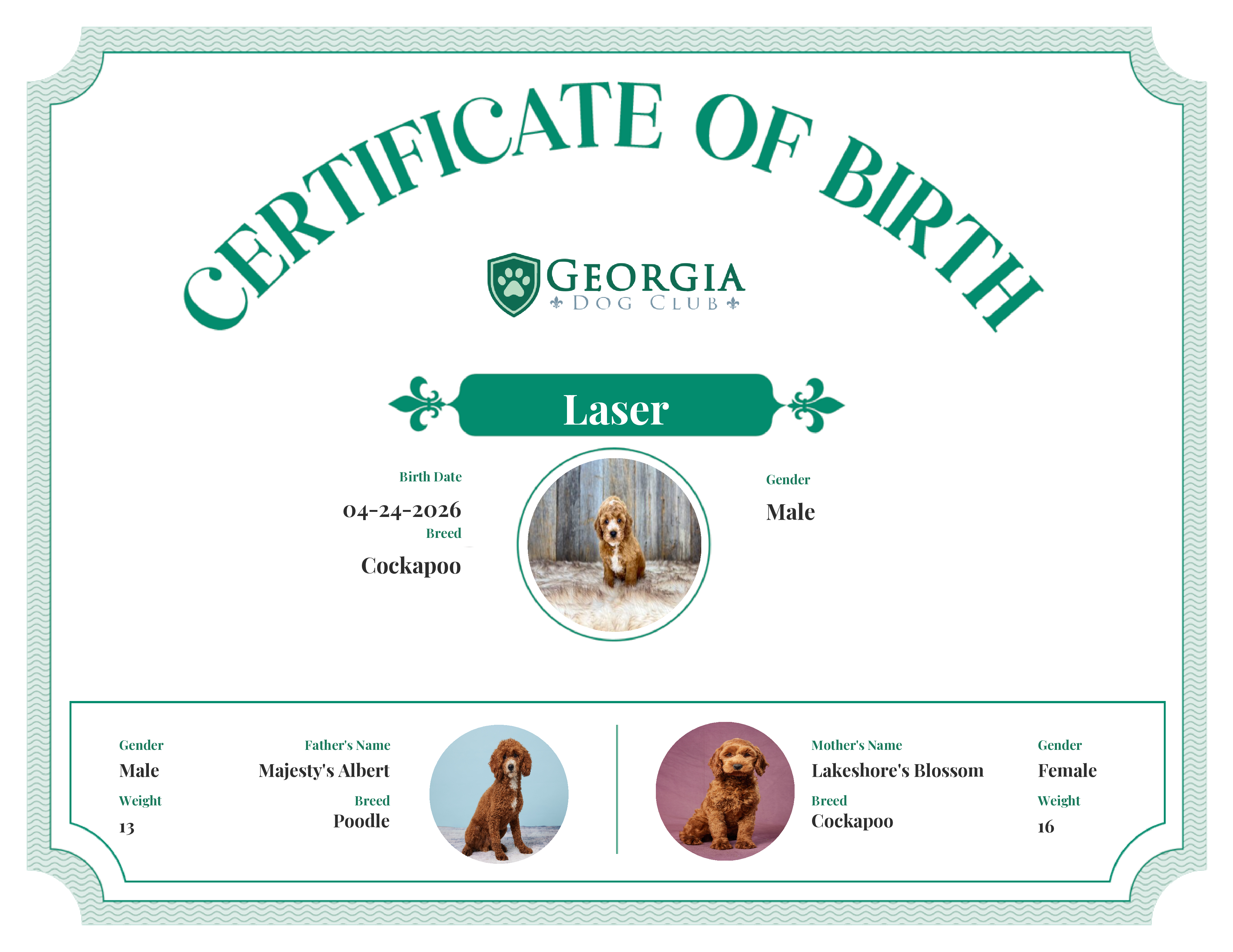 Laser's Birth Certificate