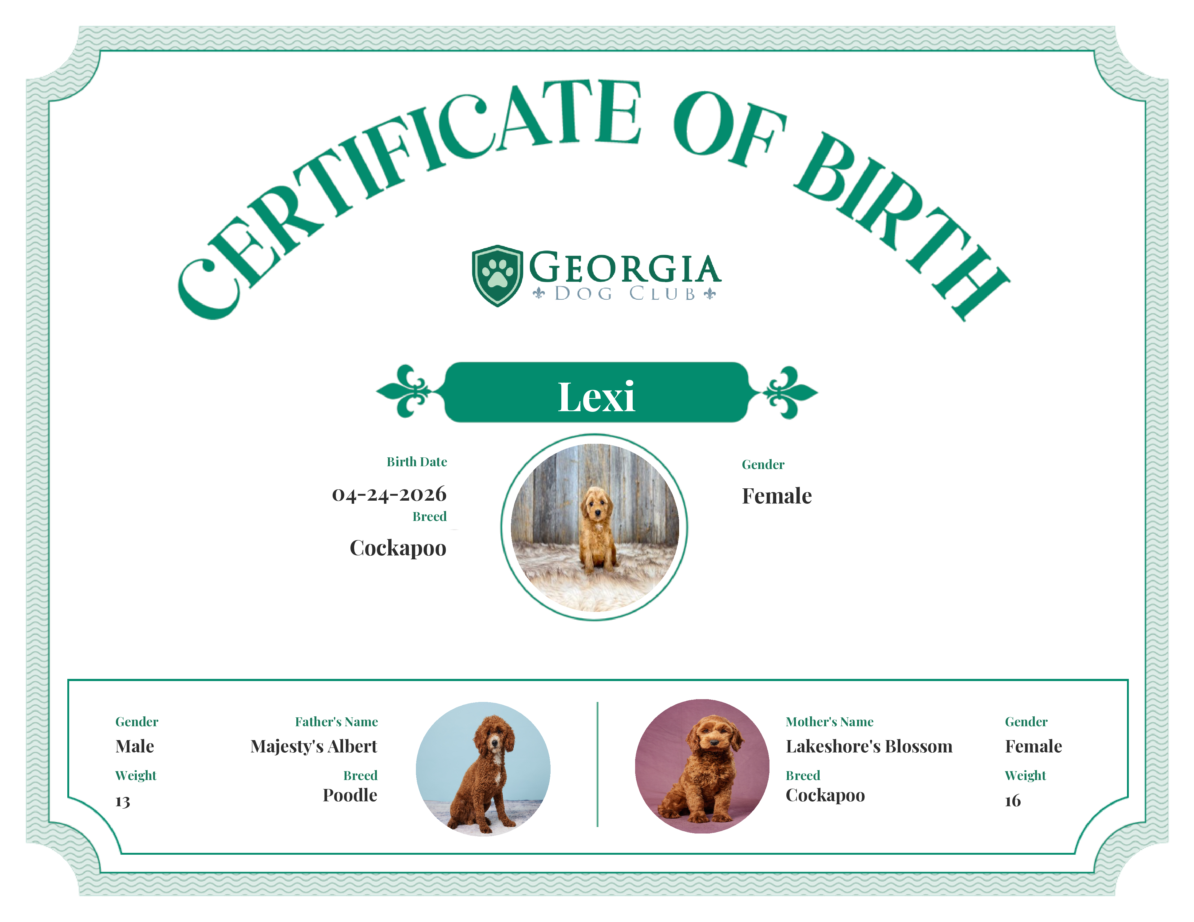 Lexi's Birth Certificate