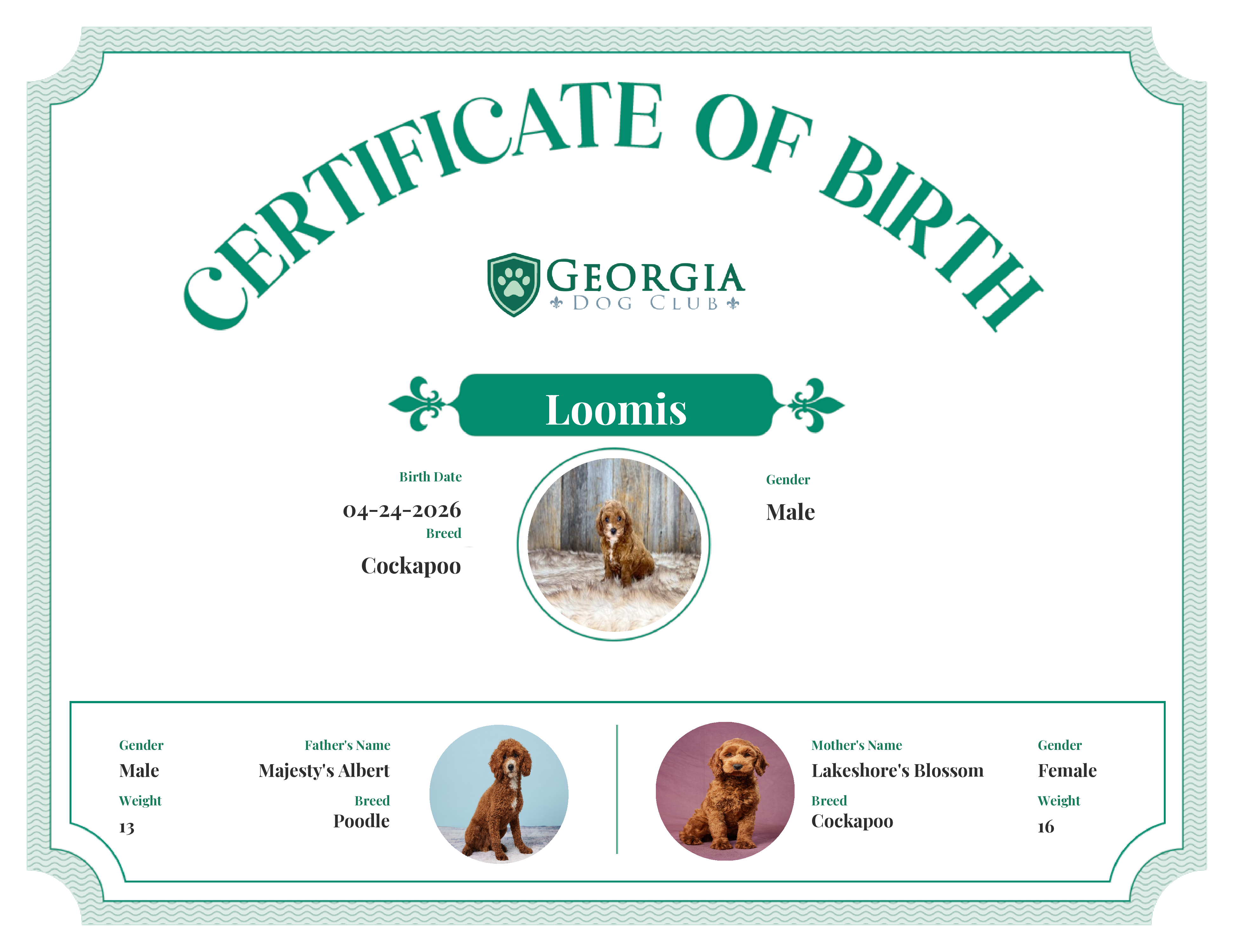 Loomis's Birth Certificate