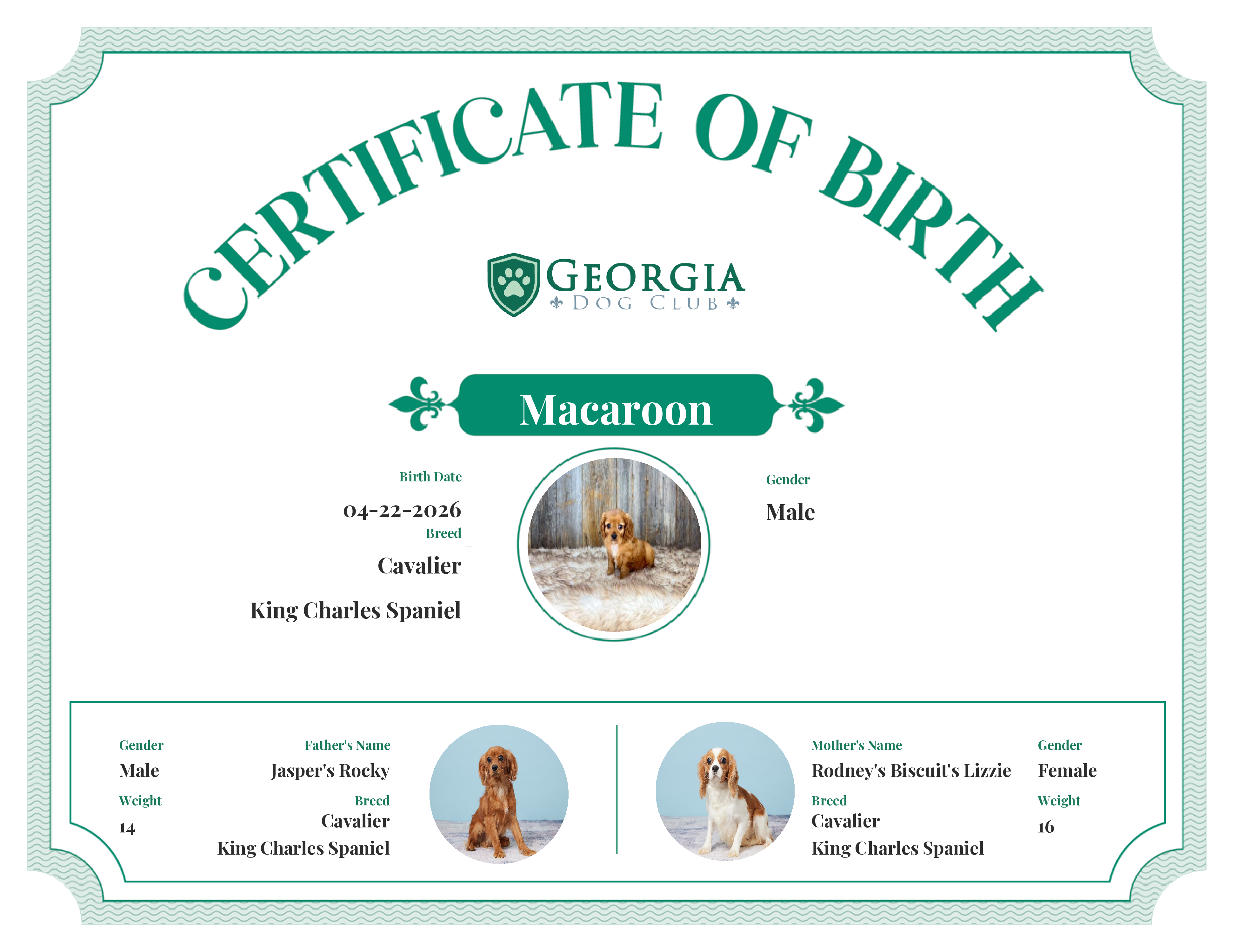Macaroon's Birth Certificate