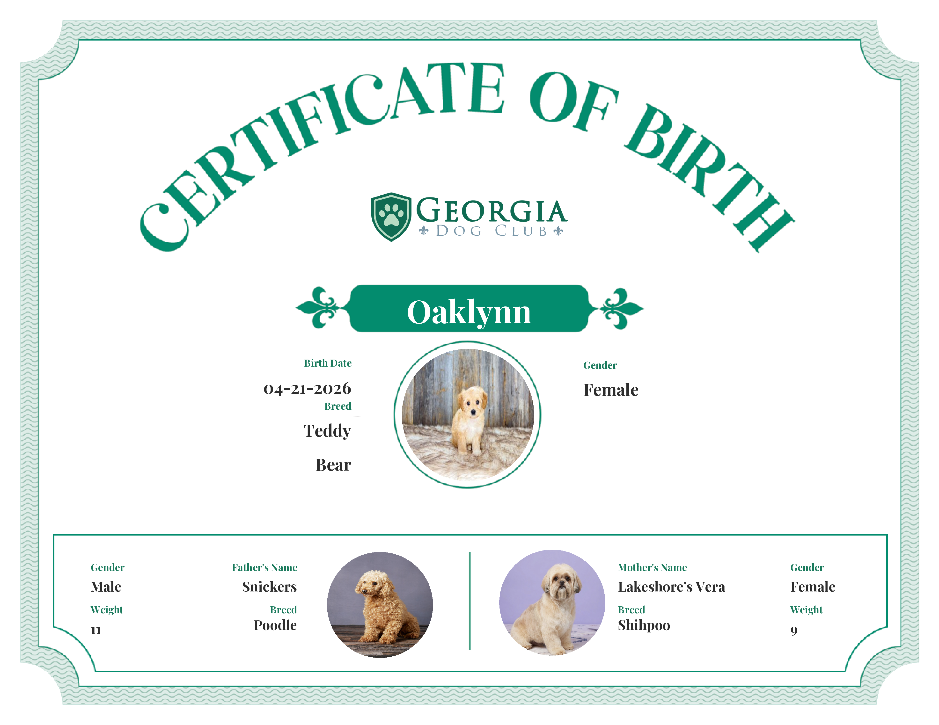 Oaklynn's Birth Certificate