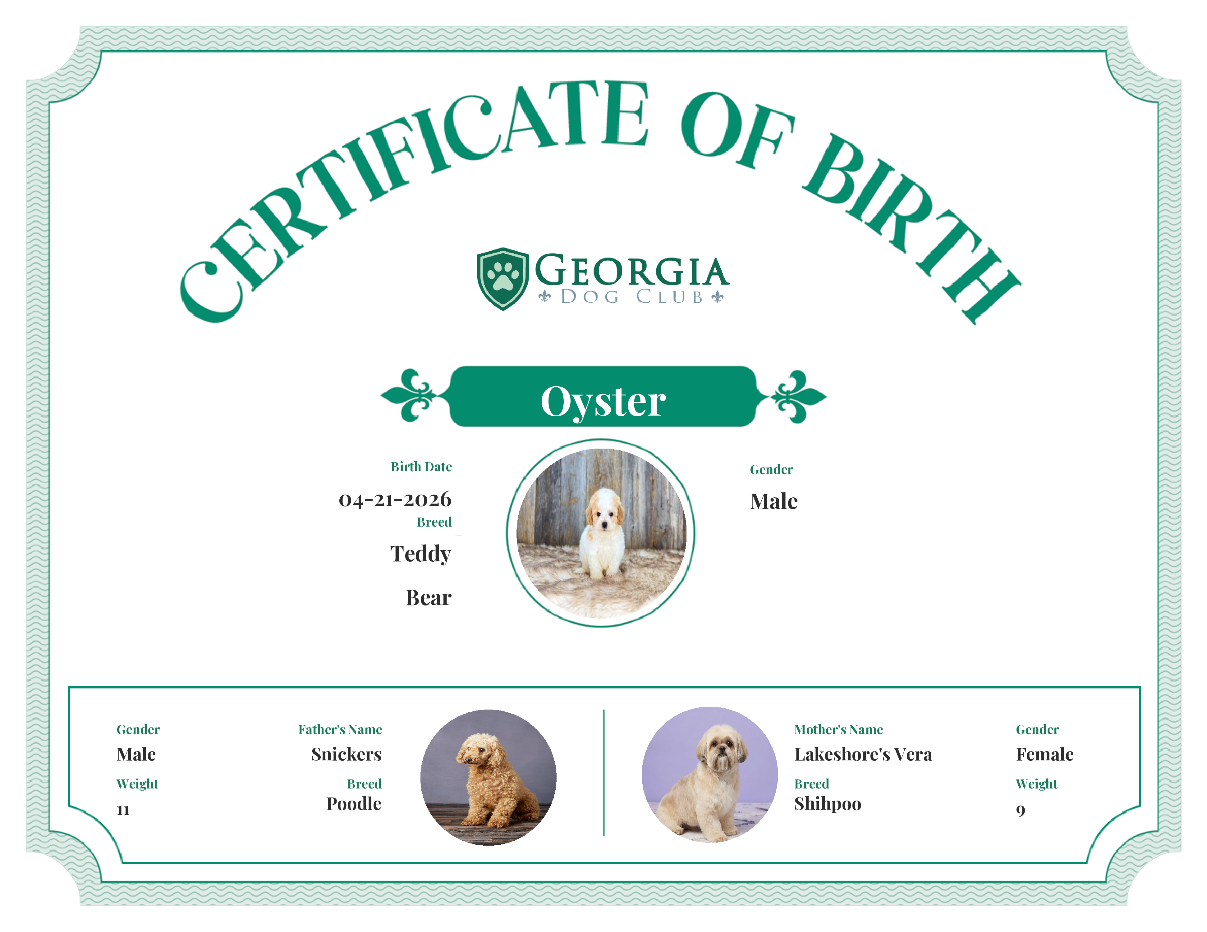 Oyster's Birth Certificate