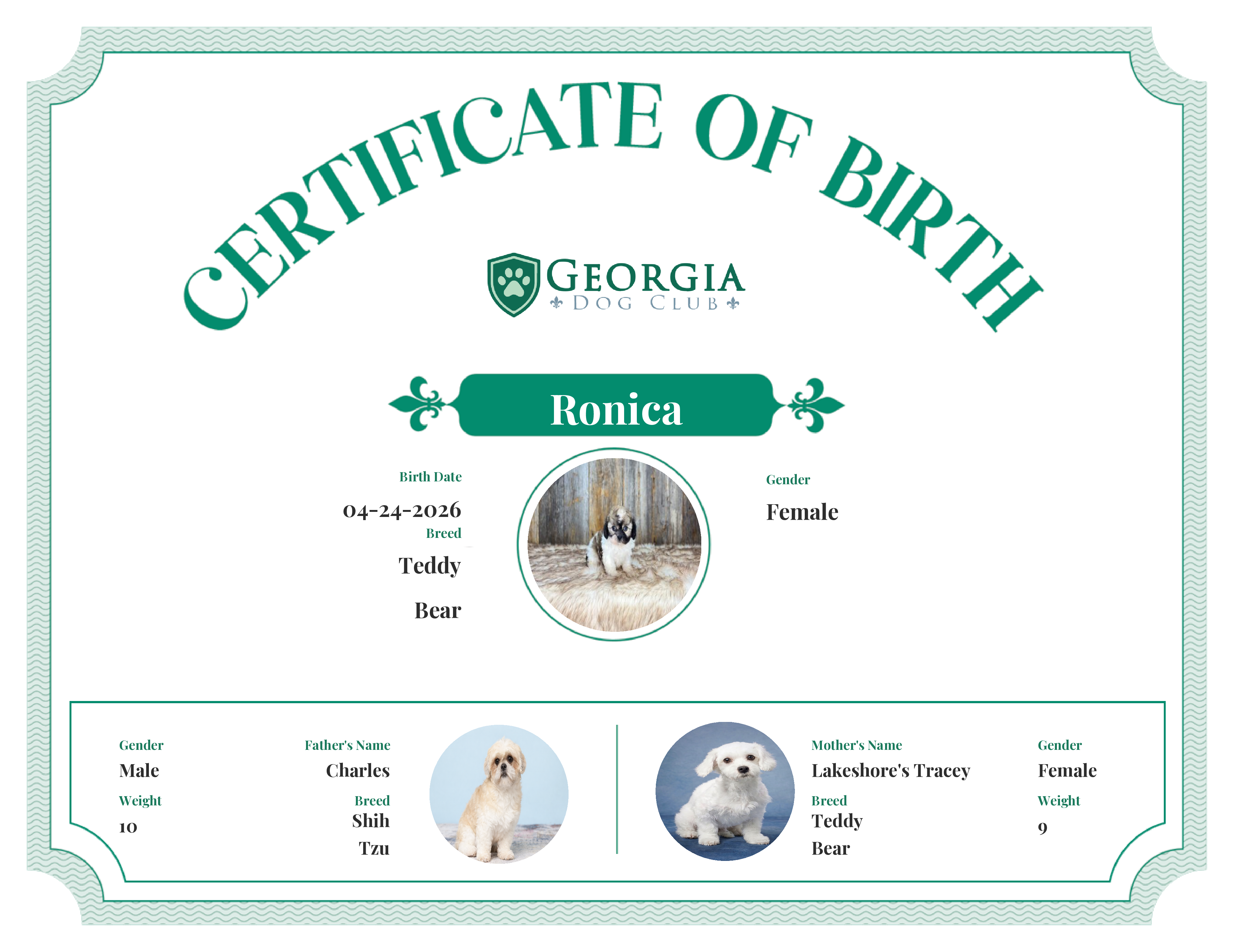 Ronica's Birth Certificate