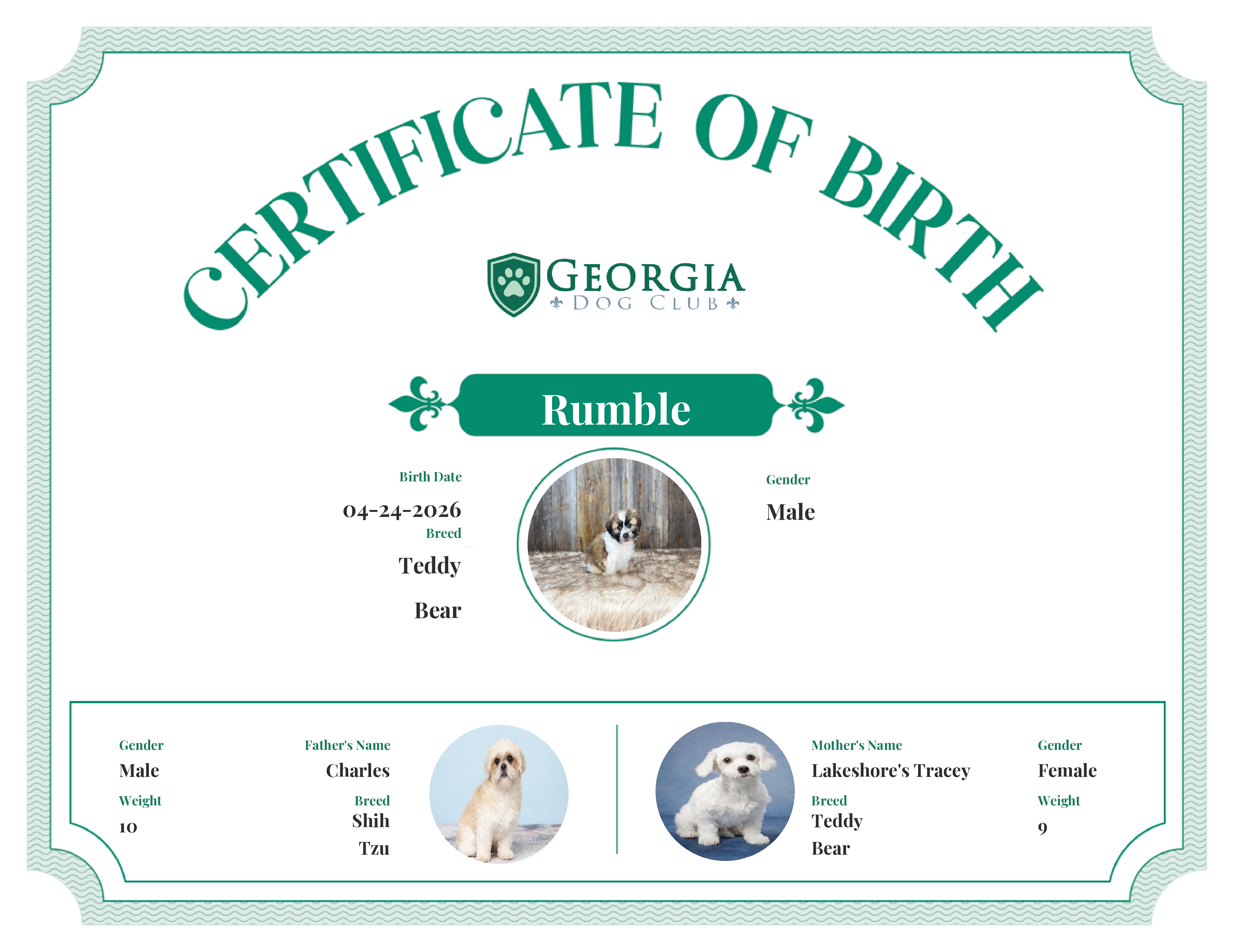 Rumble's Birth Certificate