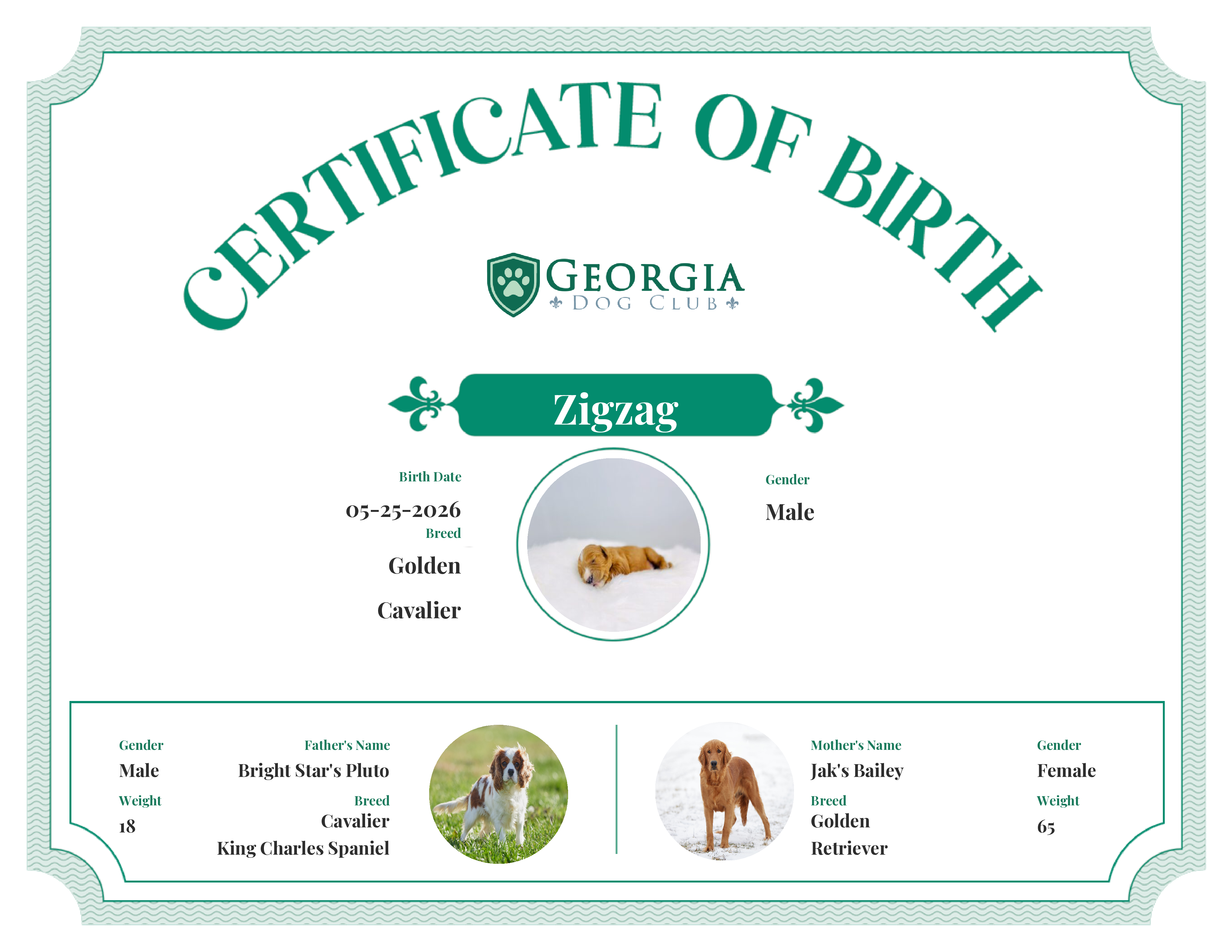 Zigzag's Birth Certificate
