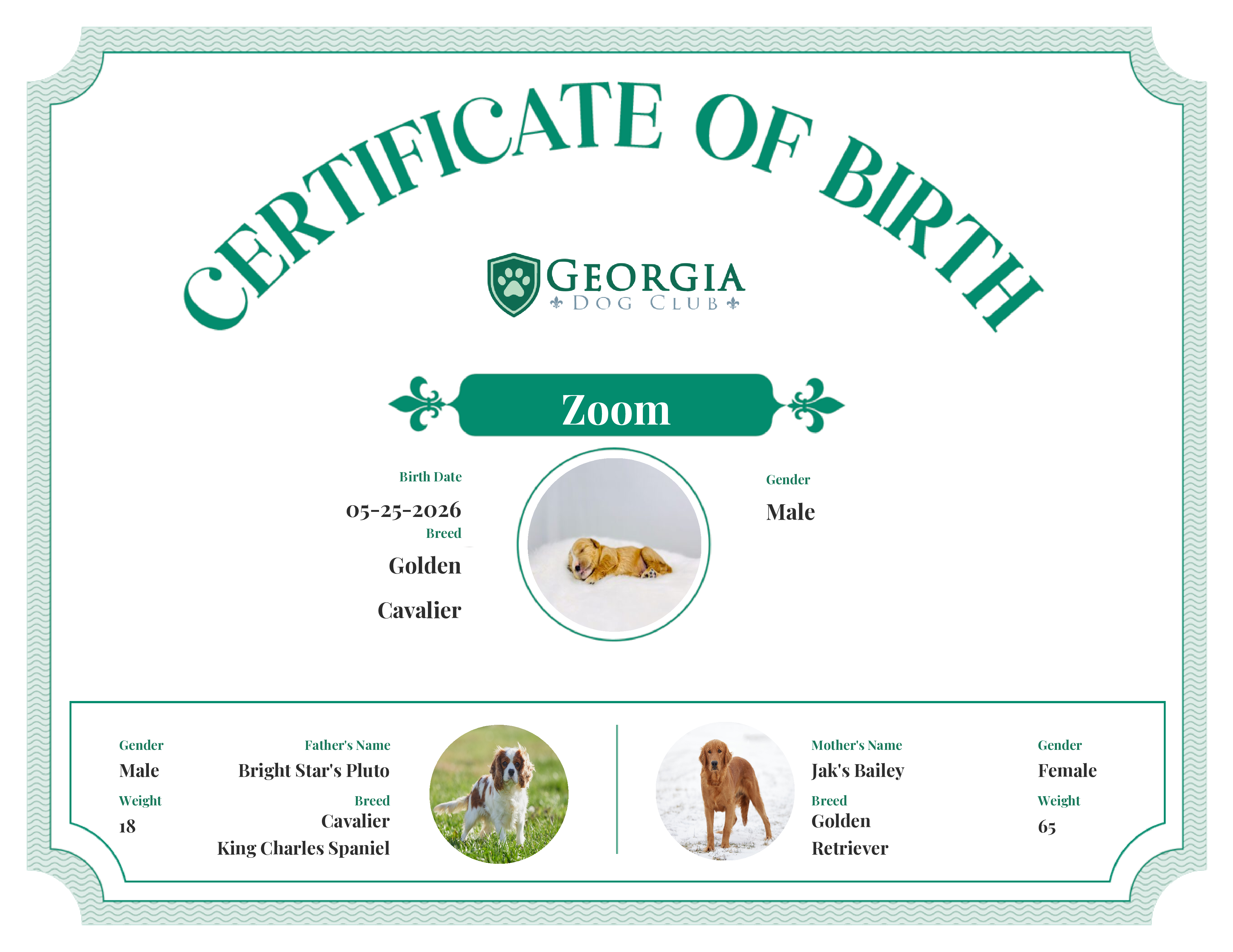Zoom's Birth Certificate