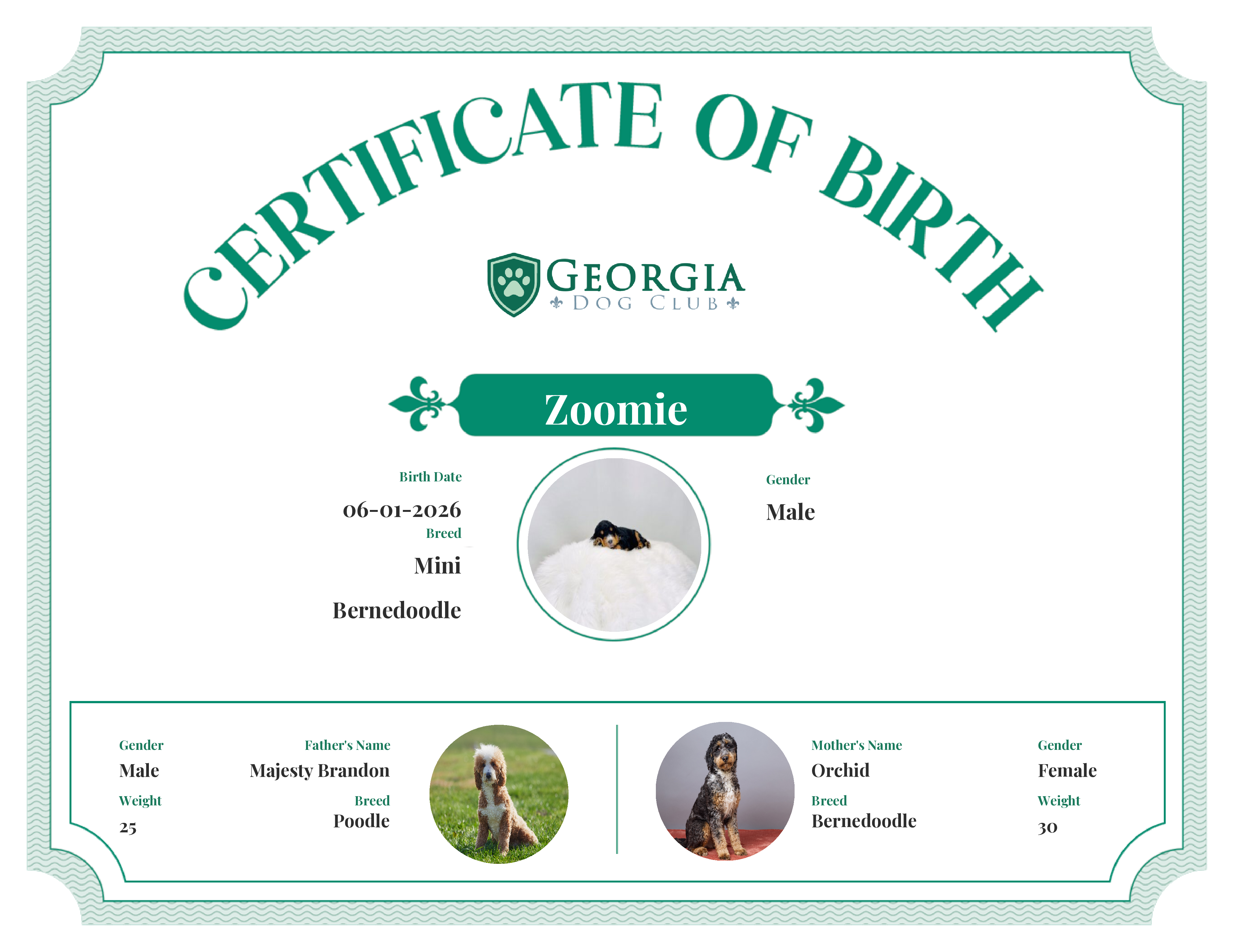 Zoomie's Birth Certificate