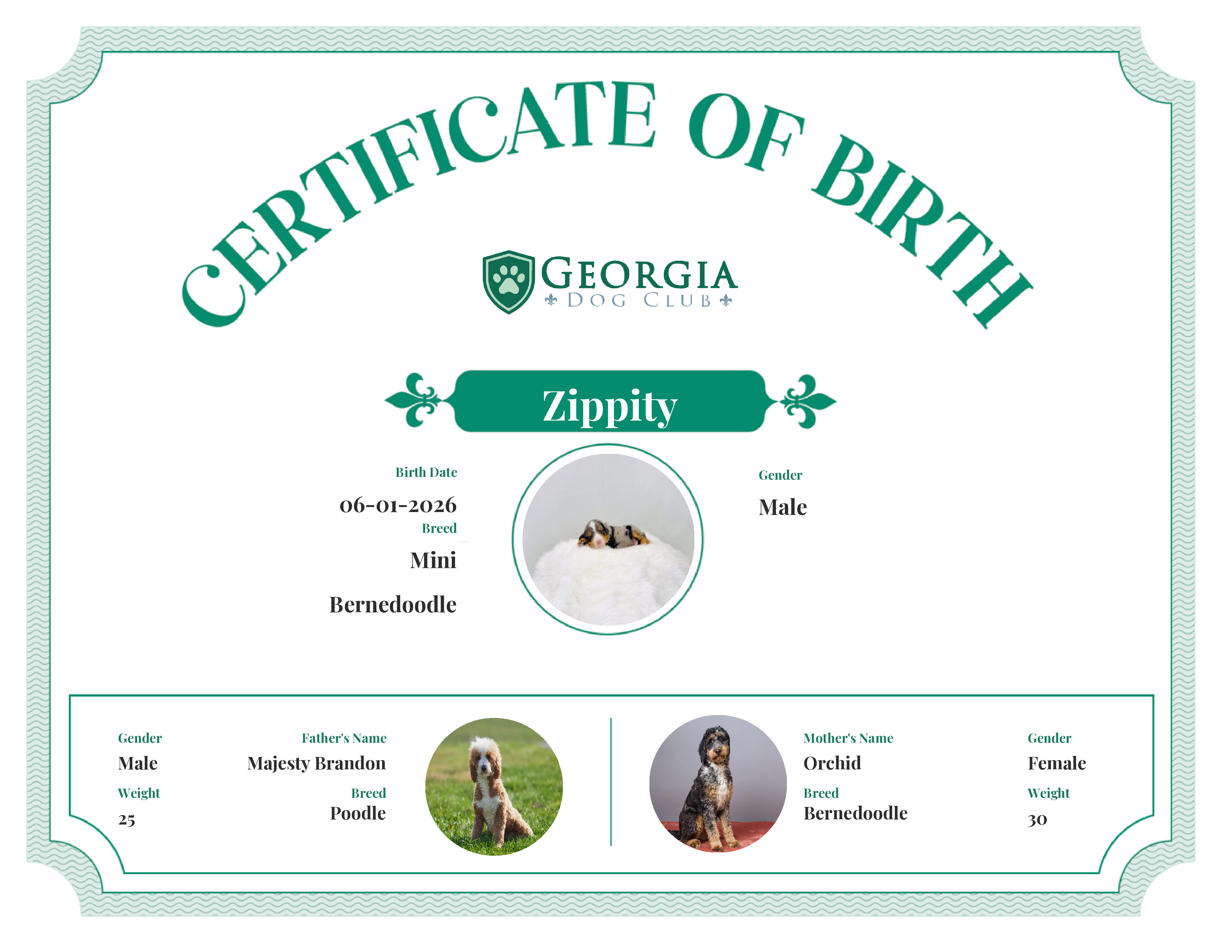 Zippity's Birth Certificate