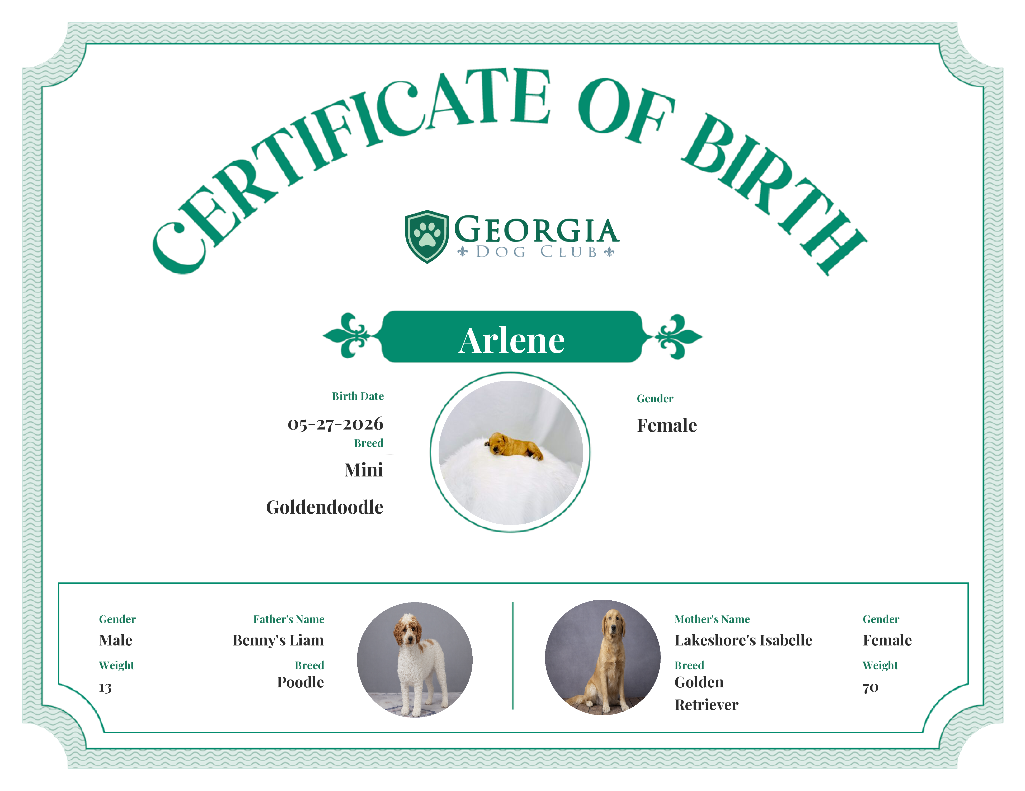 Arlene's Birth Certificate