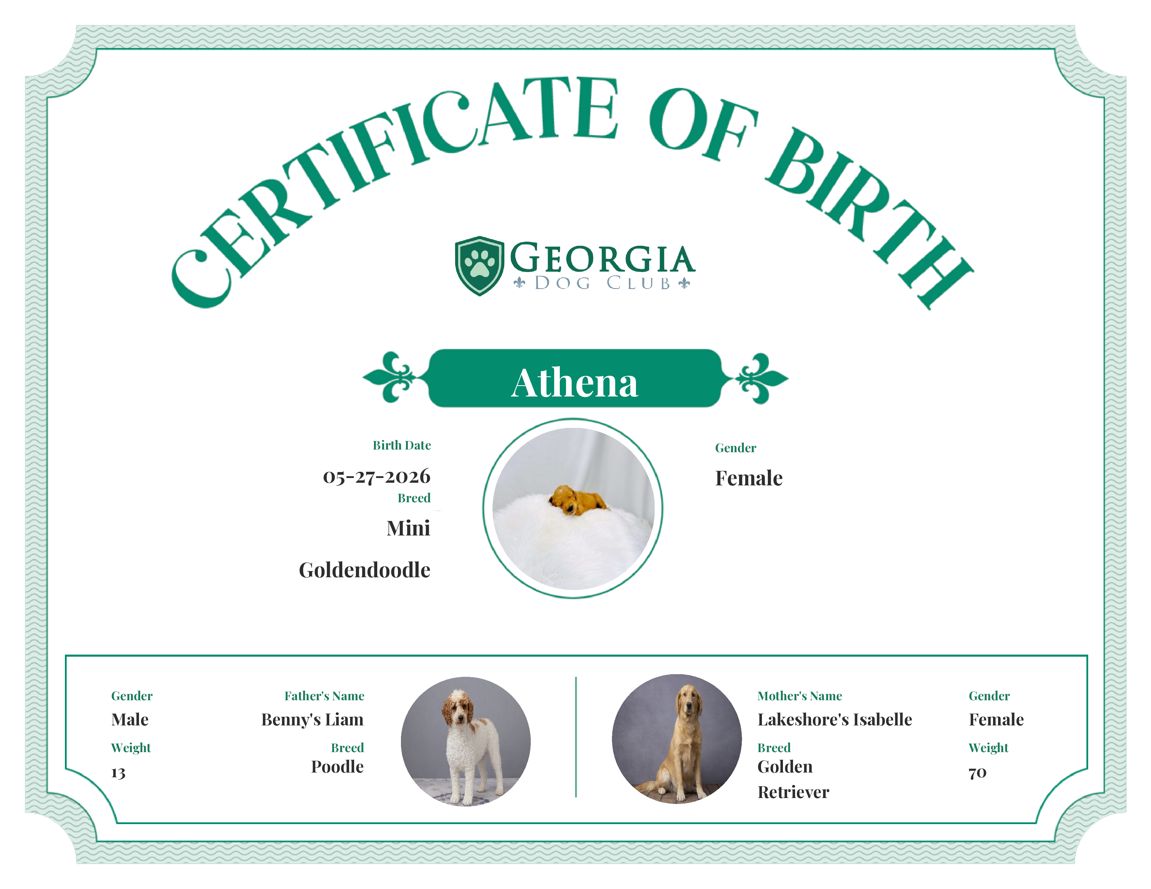 Athena's Birth Certificate