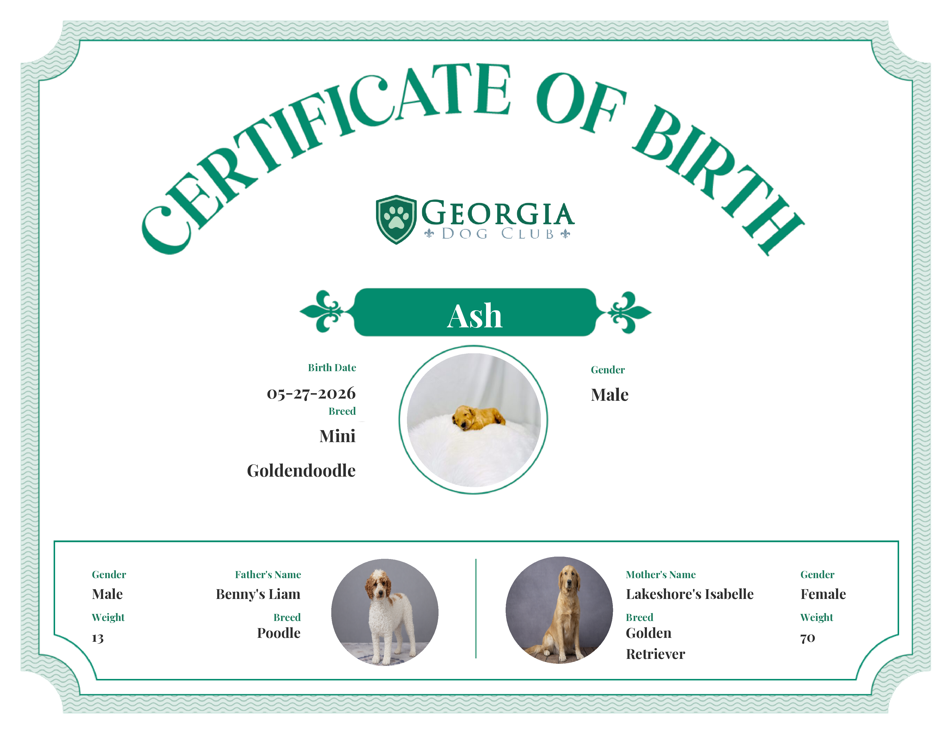 Ash's Birth Certificate