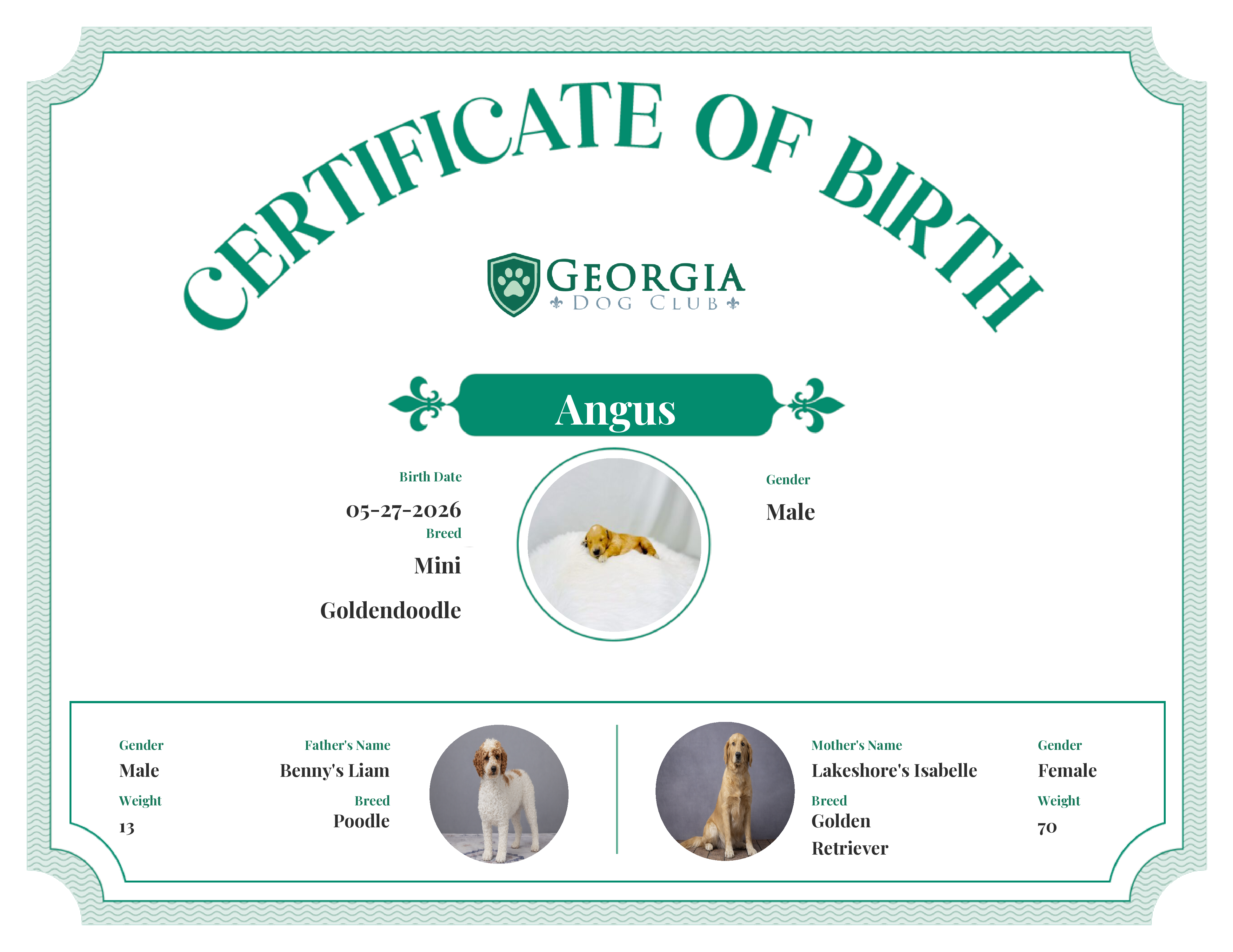 Angus's Birth Certificate
