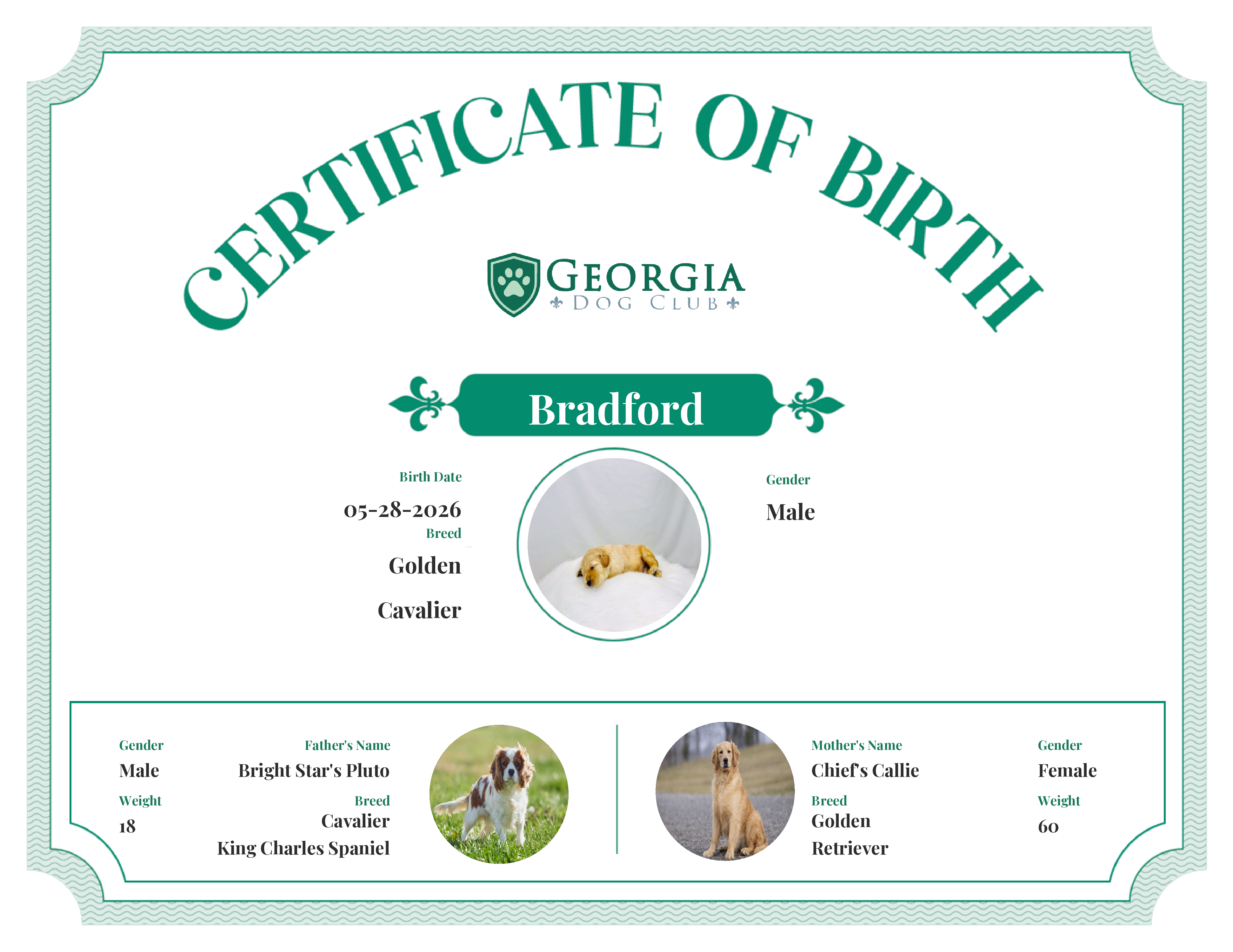 Bradford's Birth Certificate