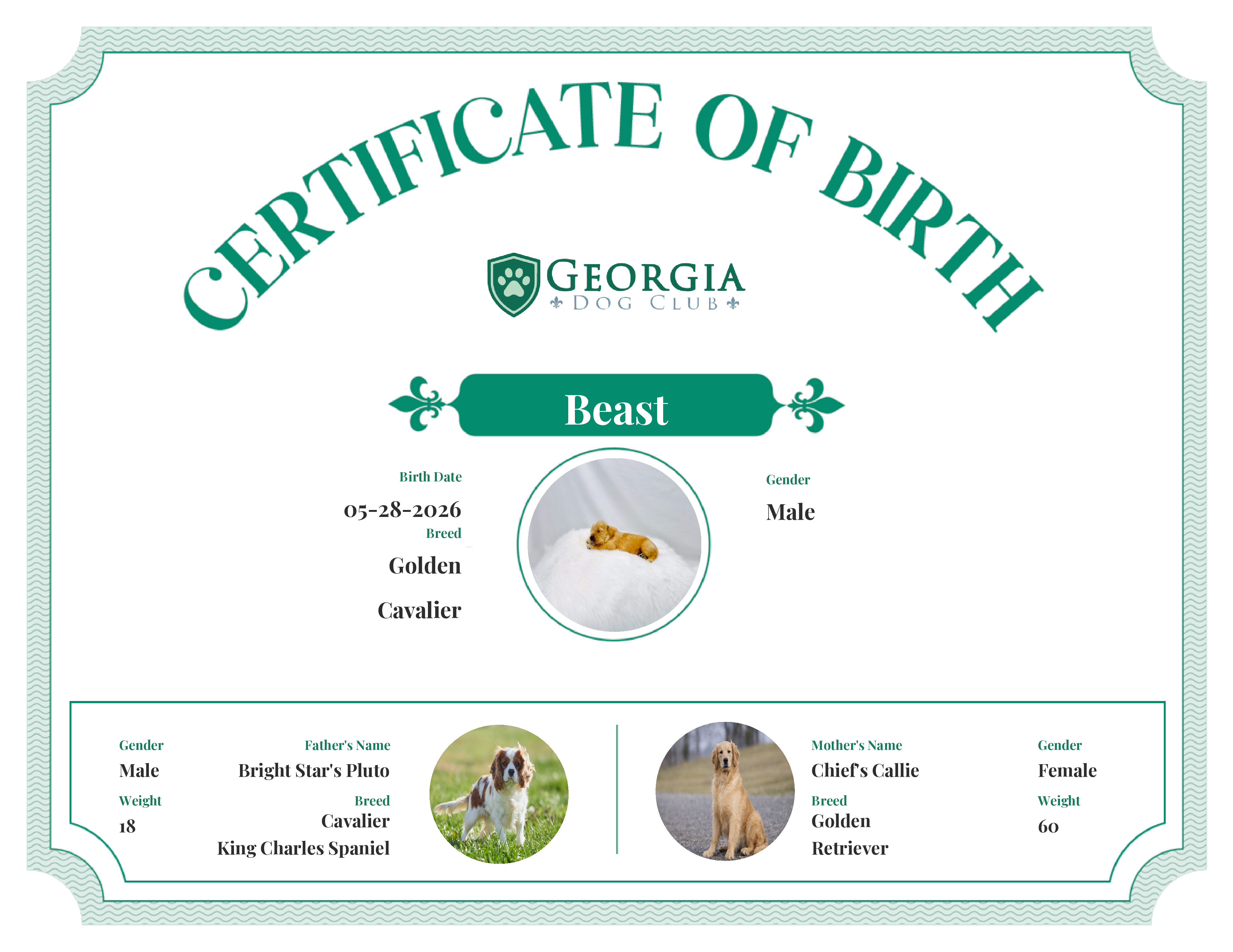 Beast's Birth Certificate