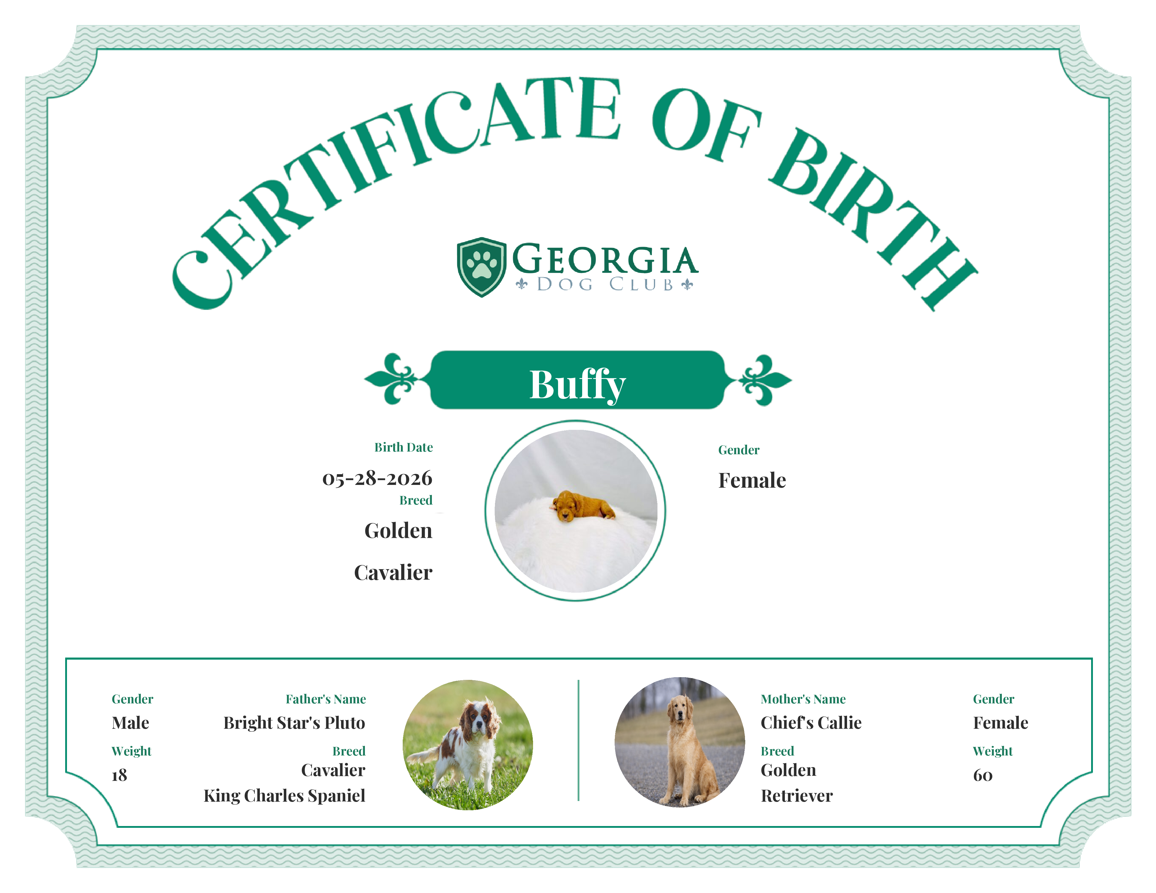 Buffy's Birth Certificate