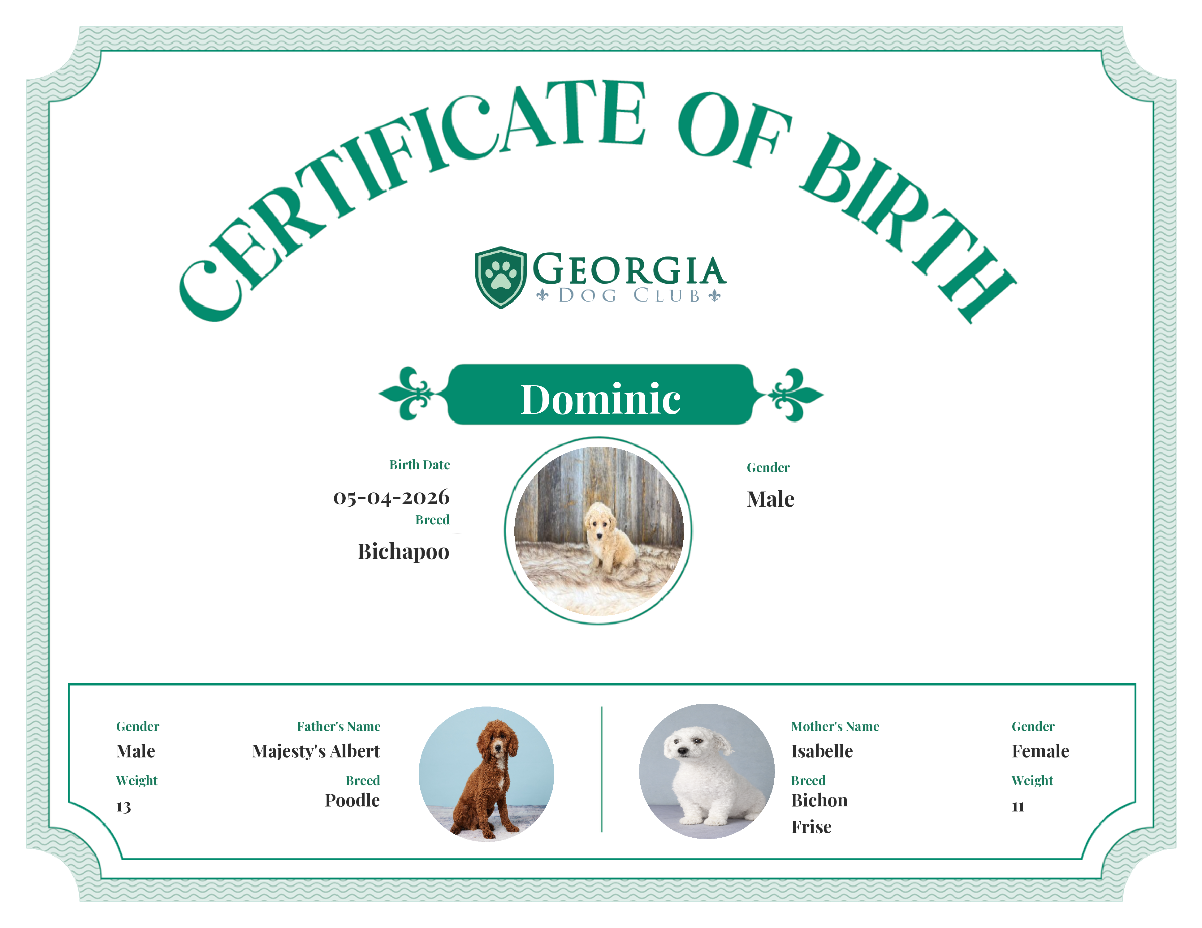 Dominic's Birth Certificate