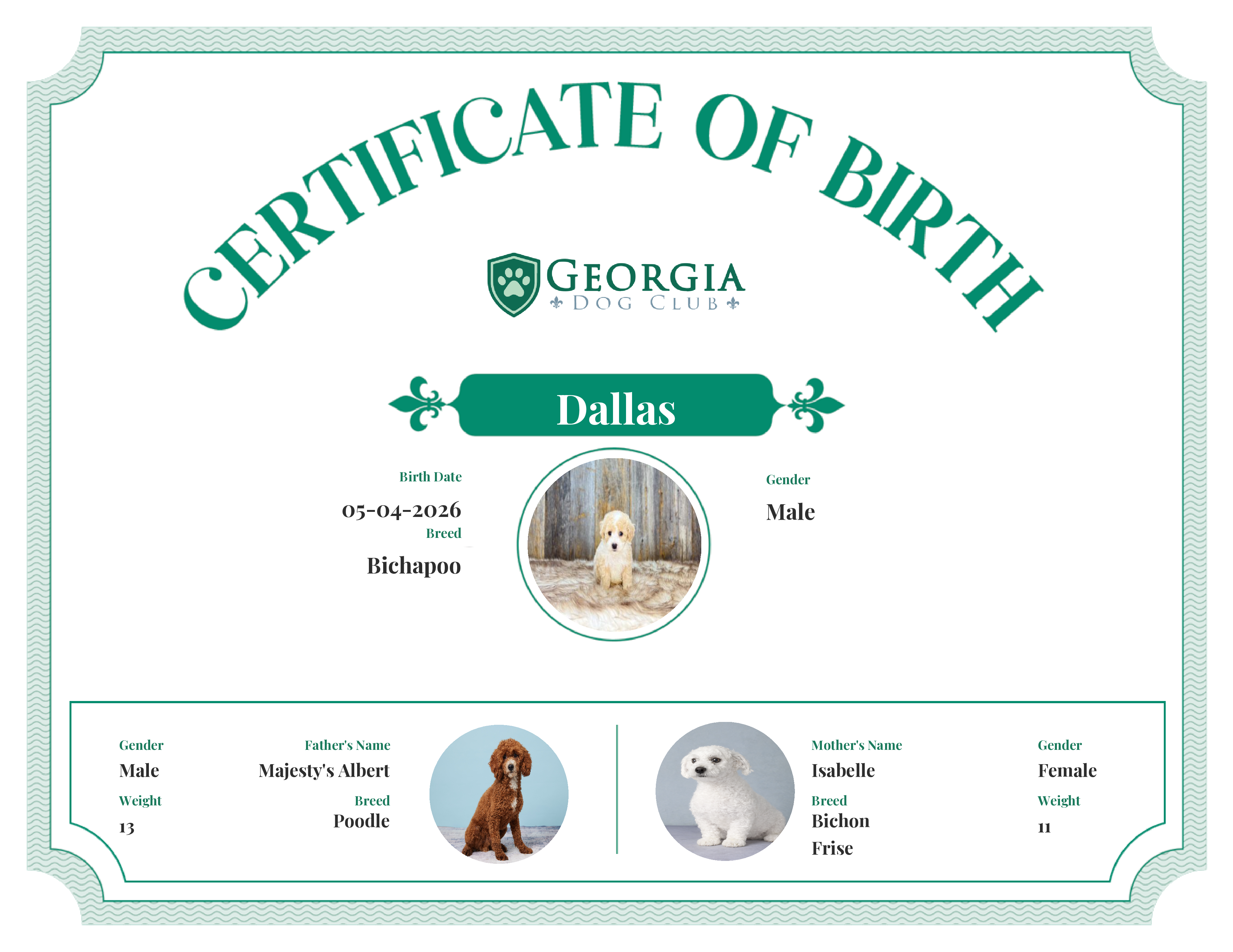 Dallas's Birth Certificate