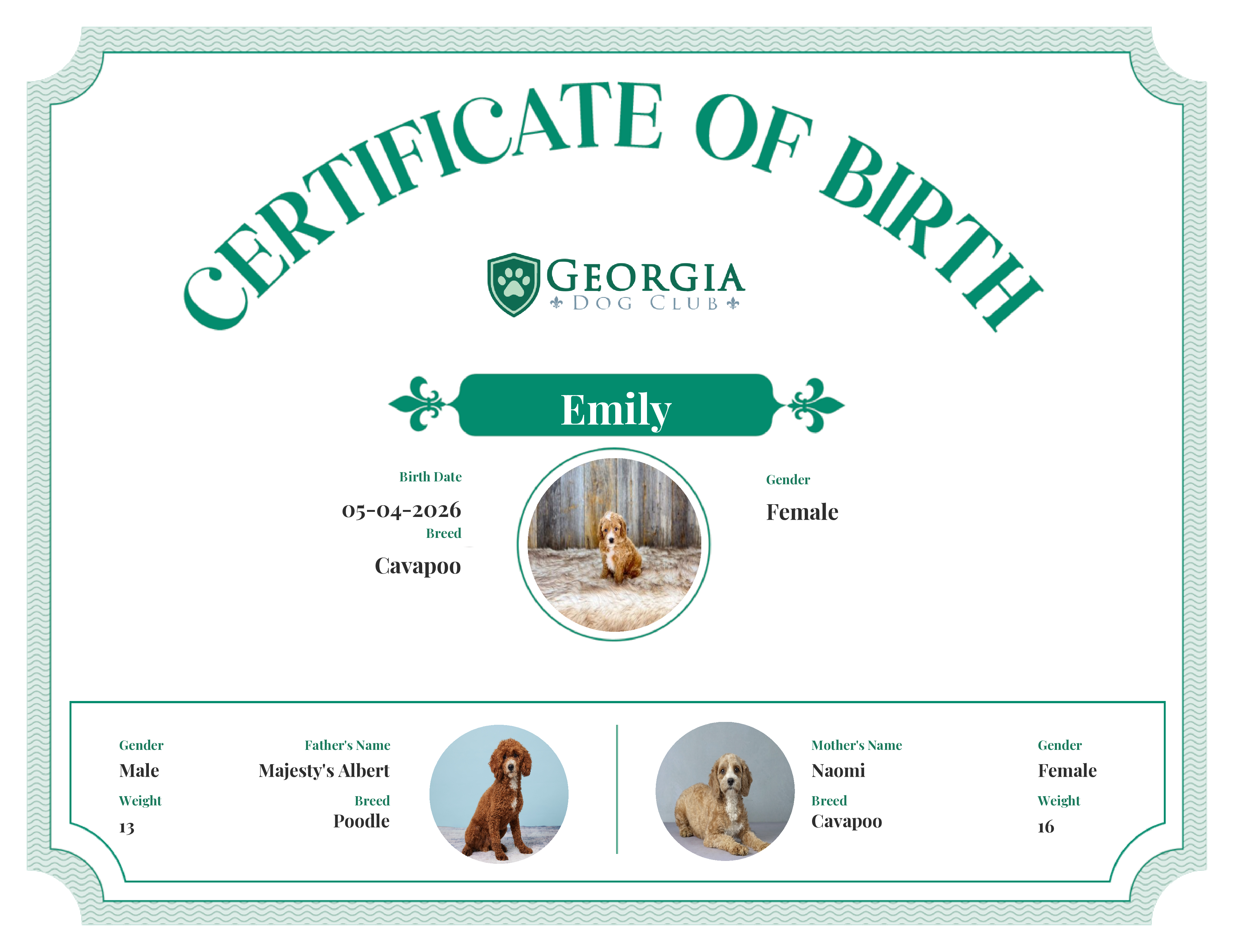 Emily's Birth Certificate