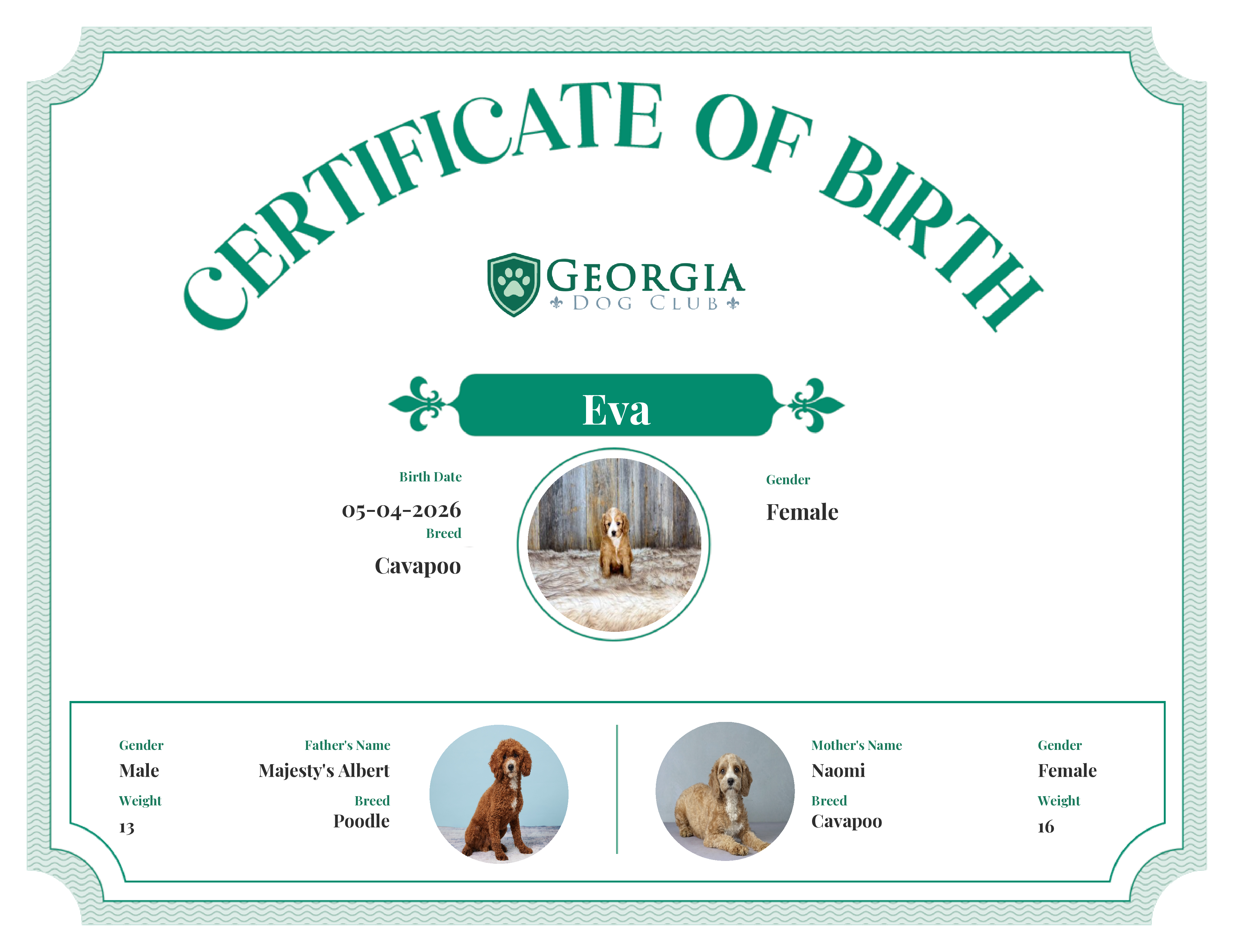 Eva's Birth Certificate