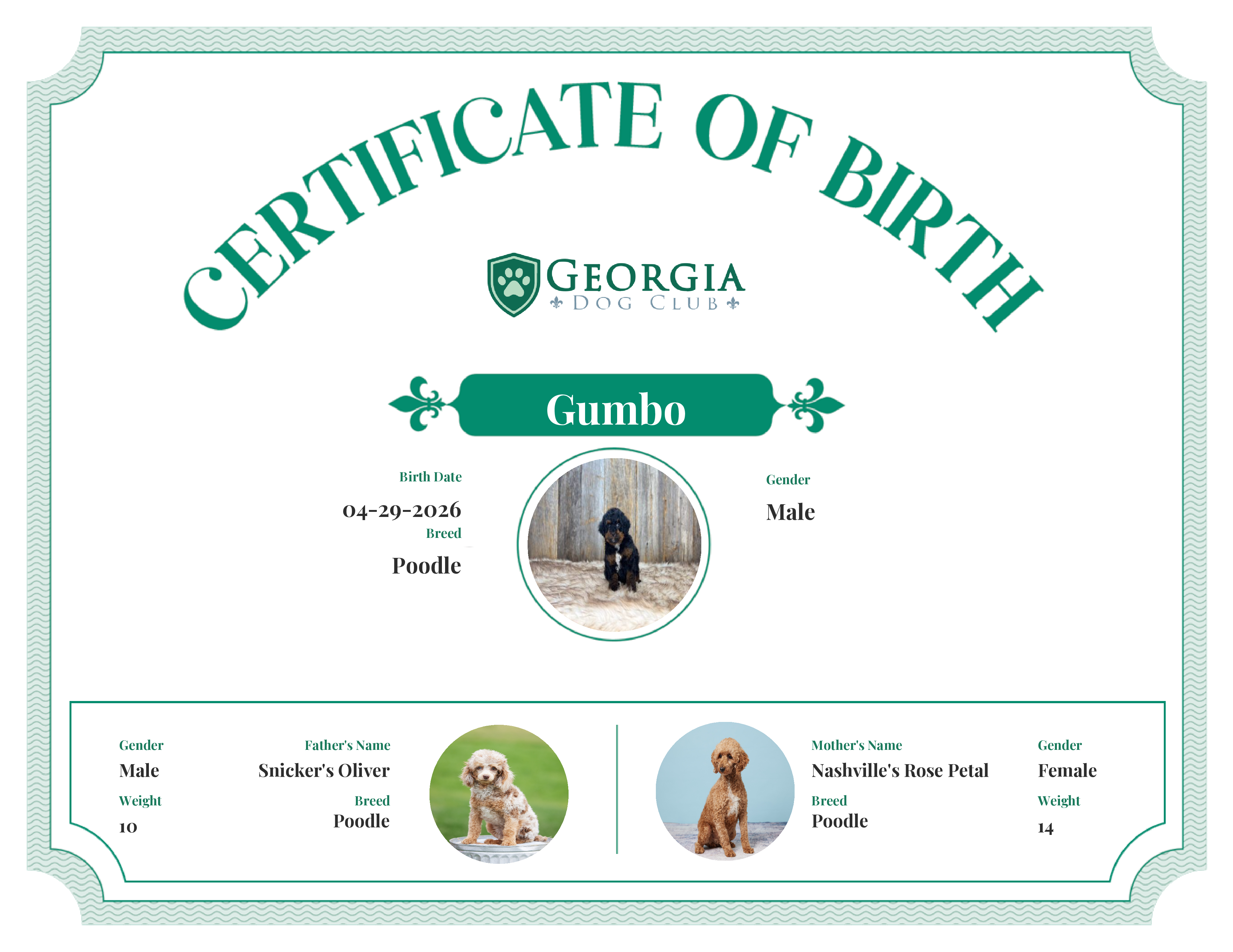 Gumbo's Birth Certificate