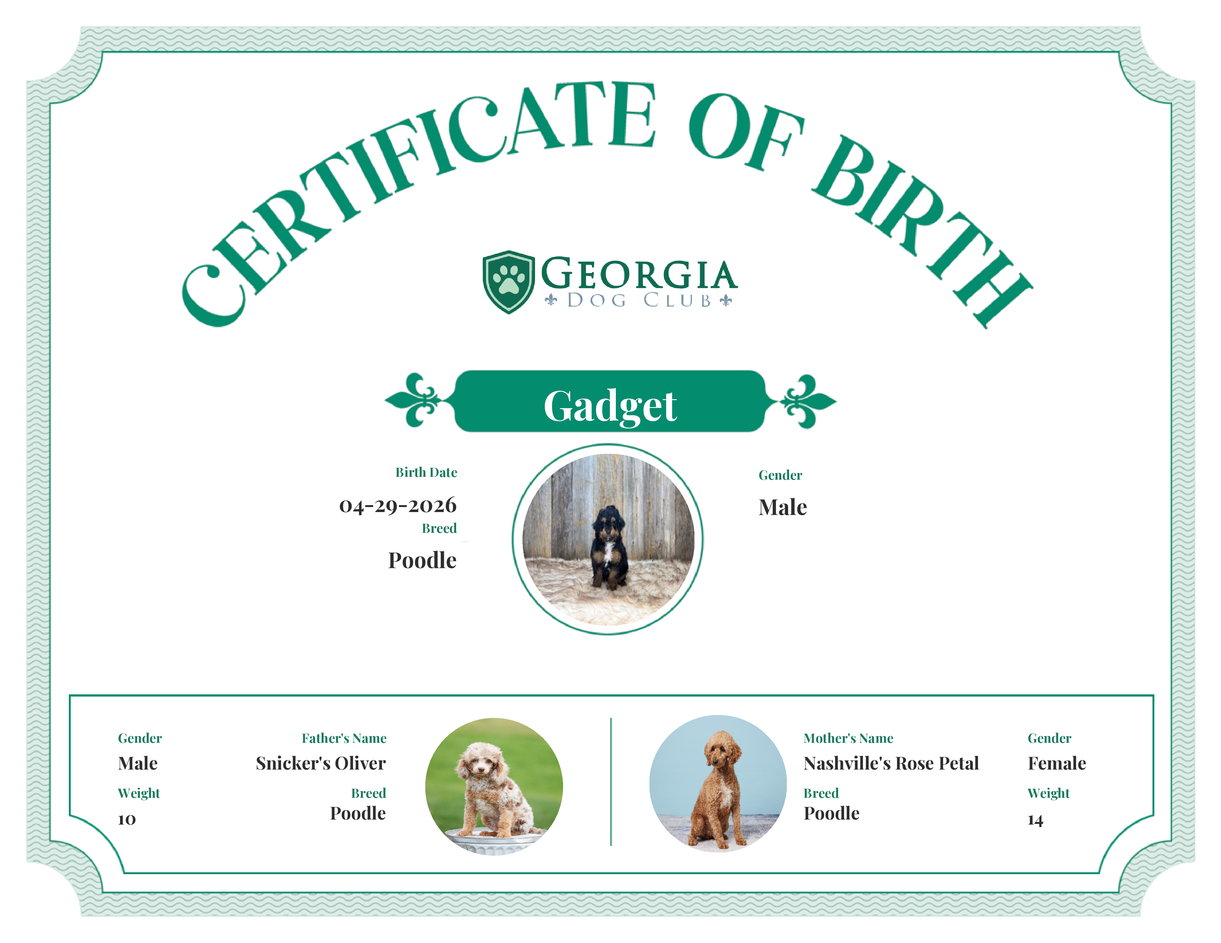 Gadget's Birth Certificate