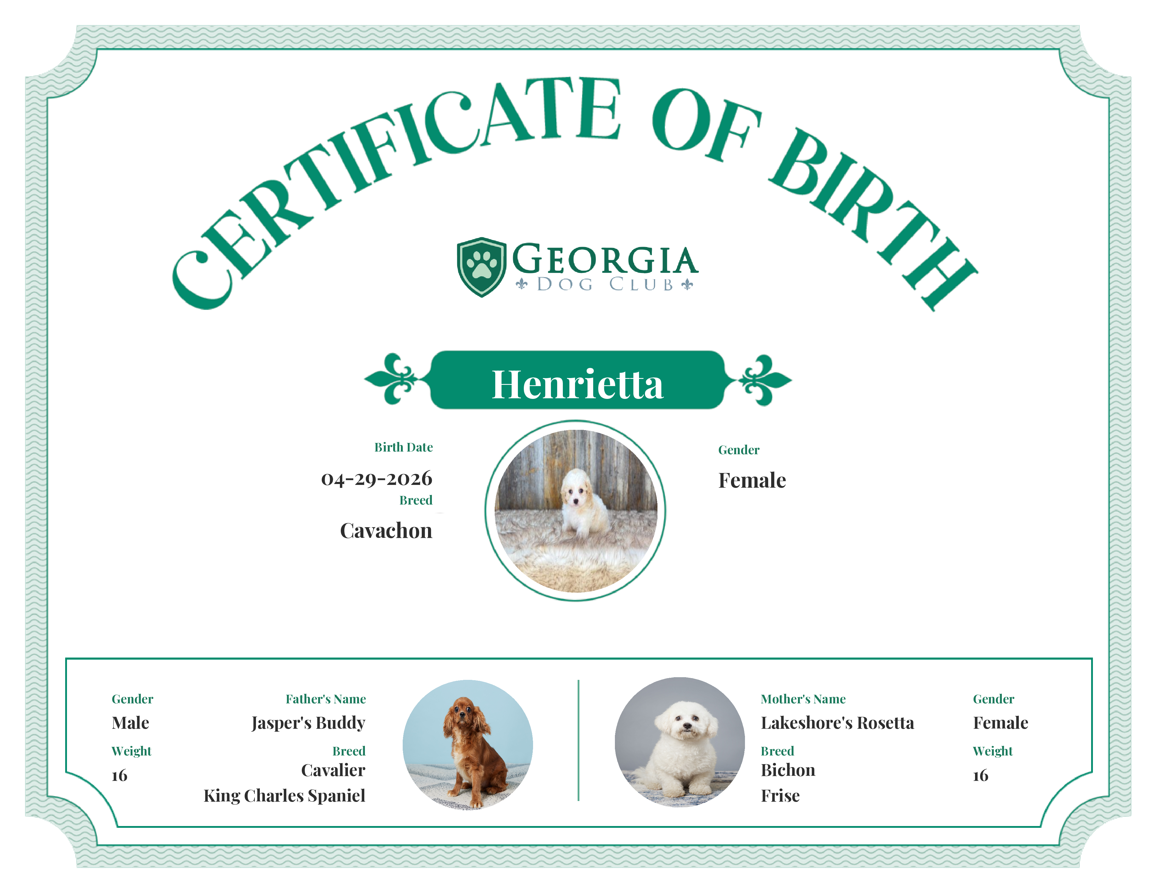 Henrietta's Birth Certificate