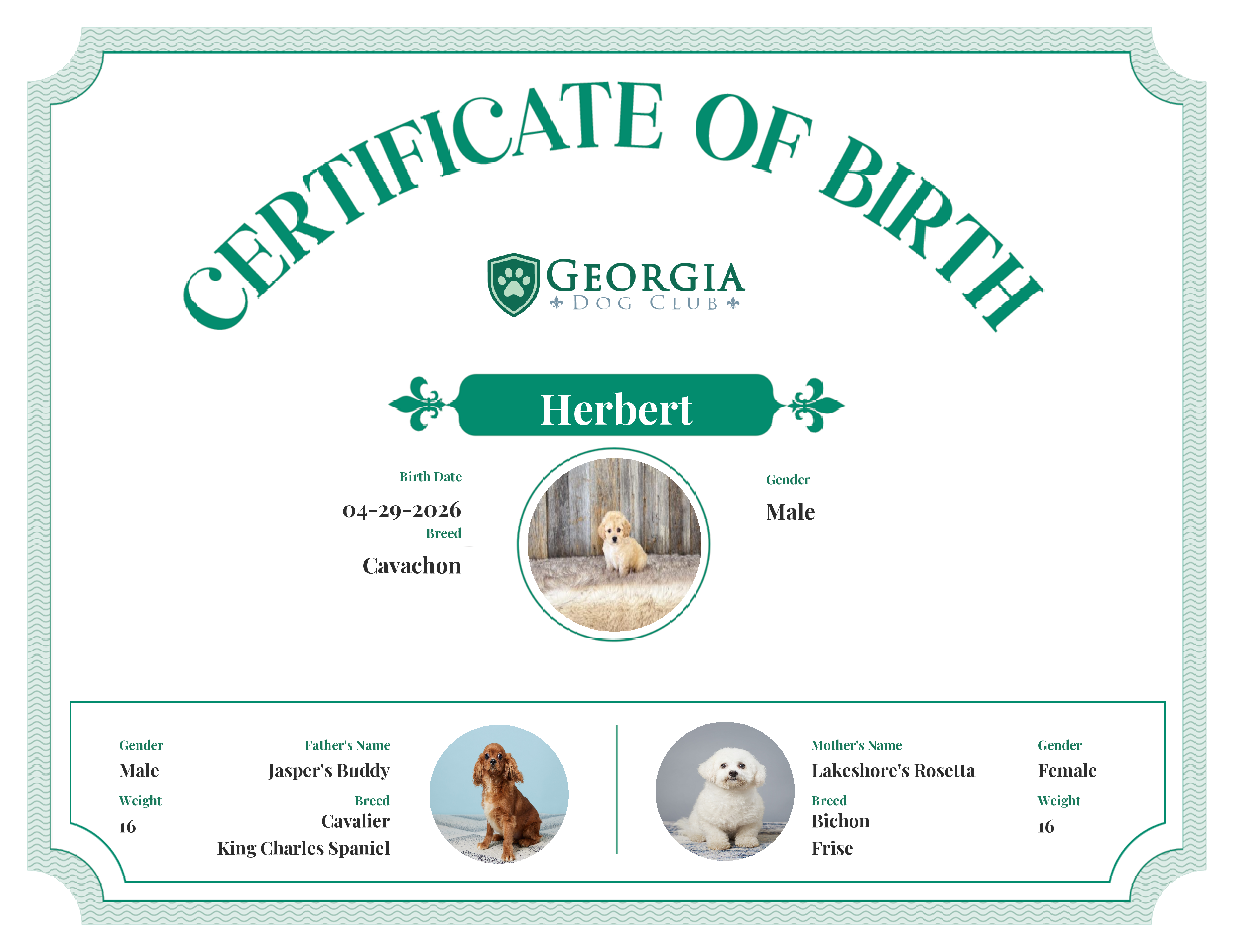 Herbert's Birth Certificate