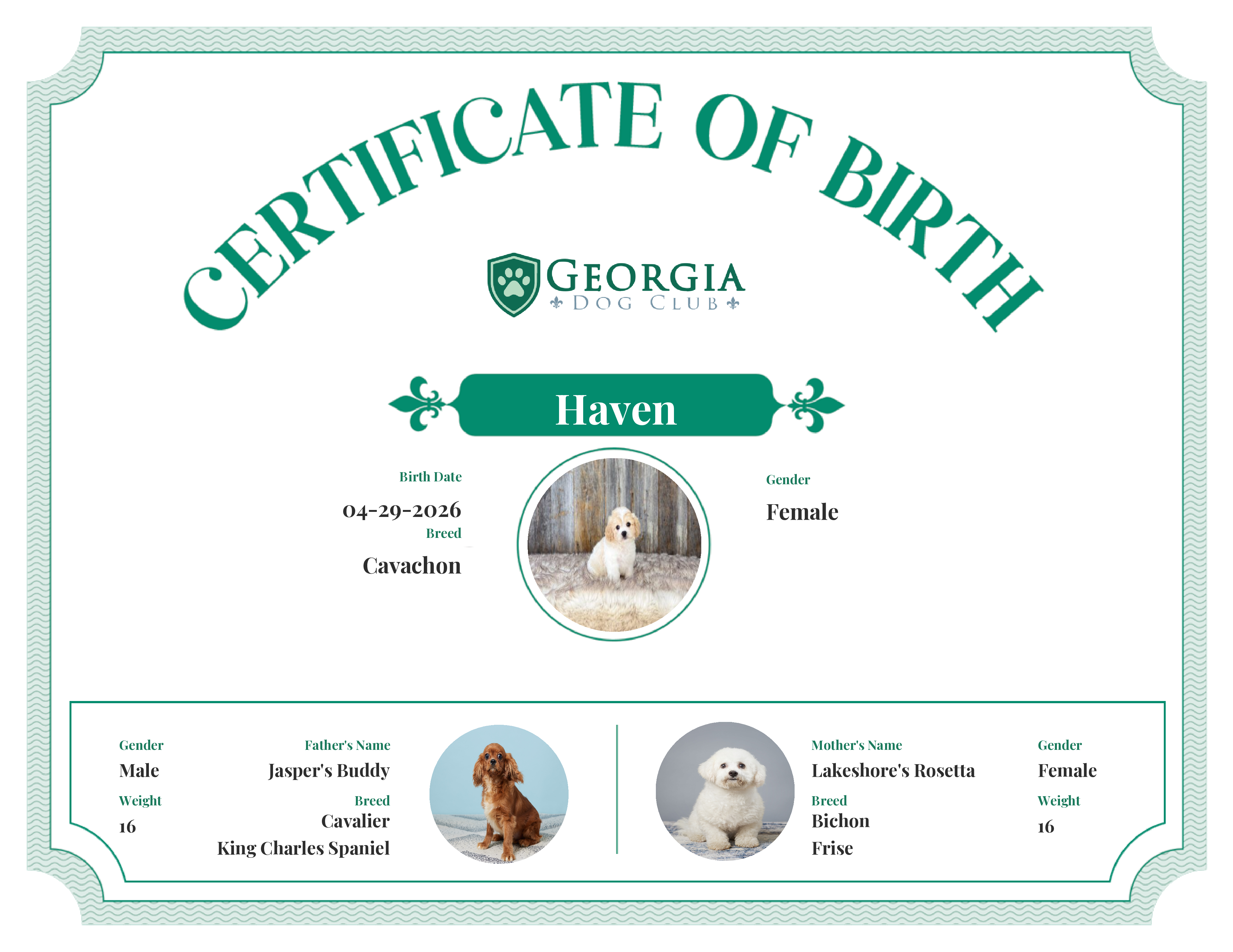 Haven's Birth Certificate