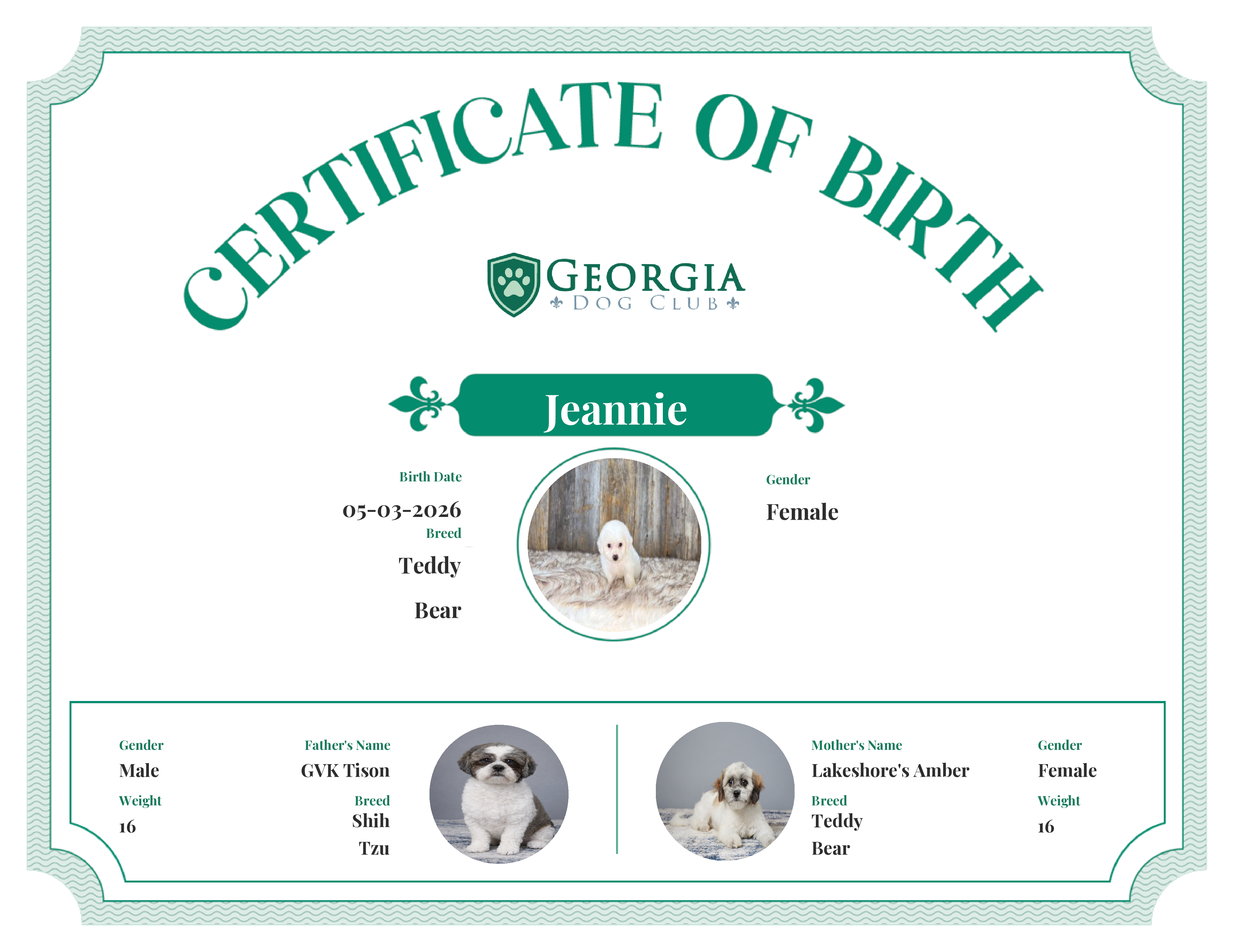 Jeannie's Birth Certificate