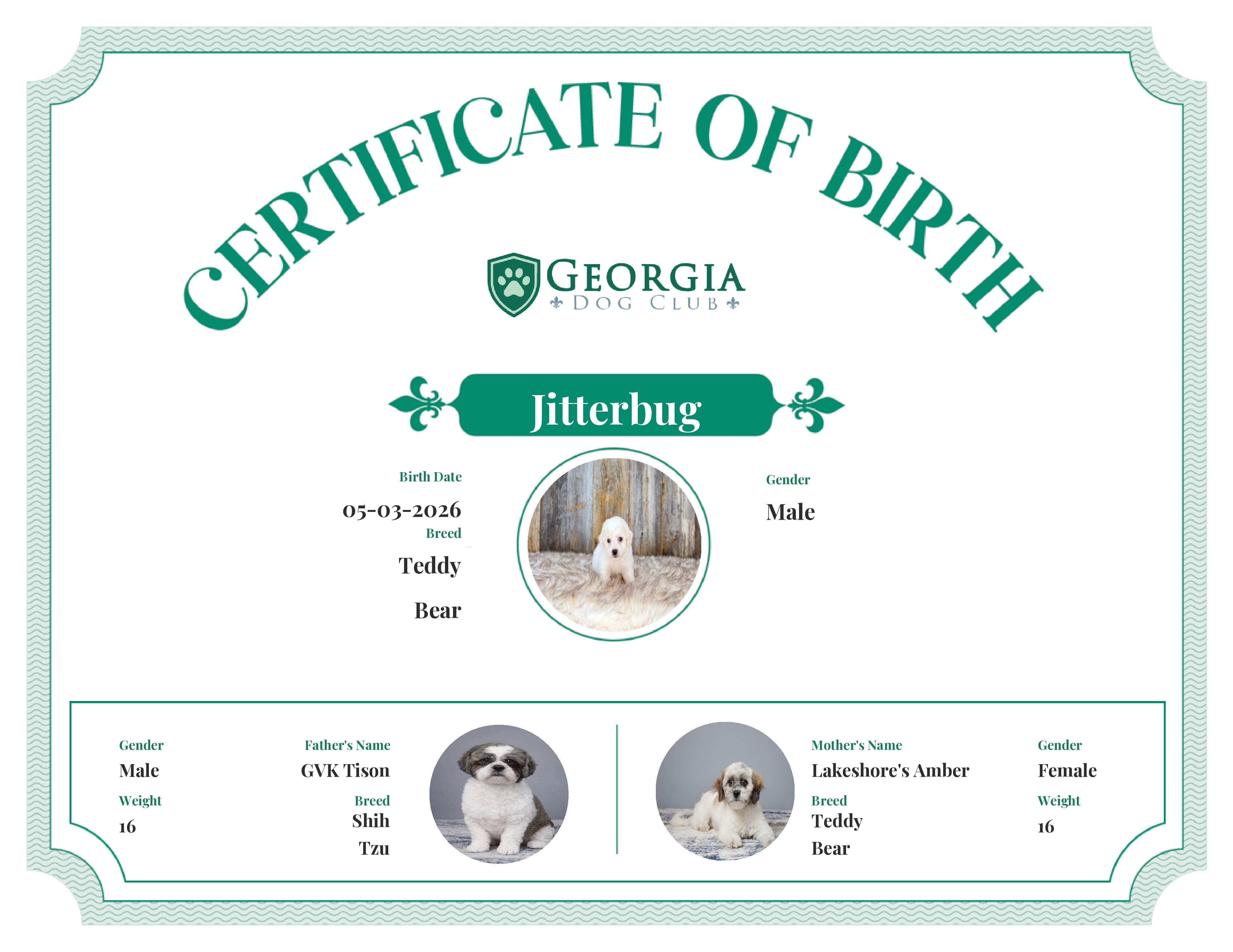 Jitterbug's Birth Certificate