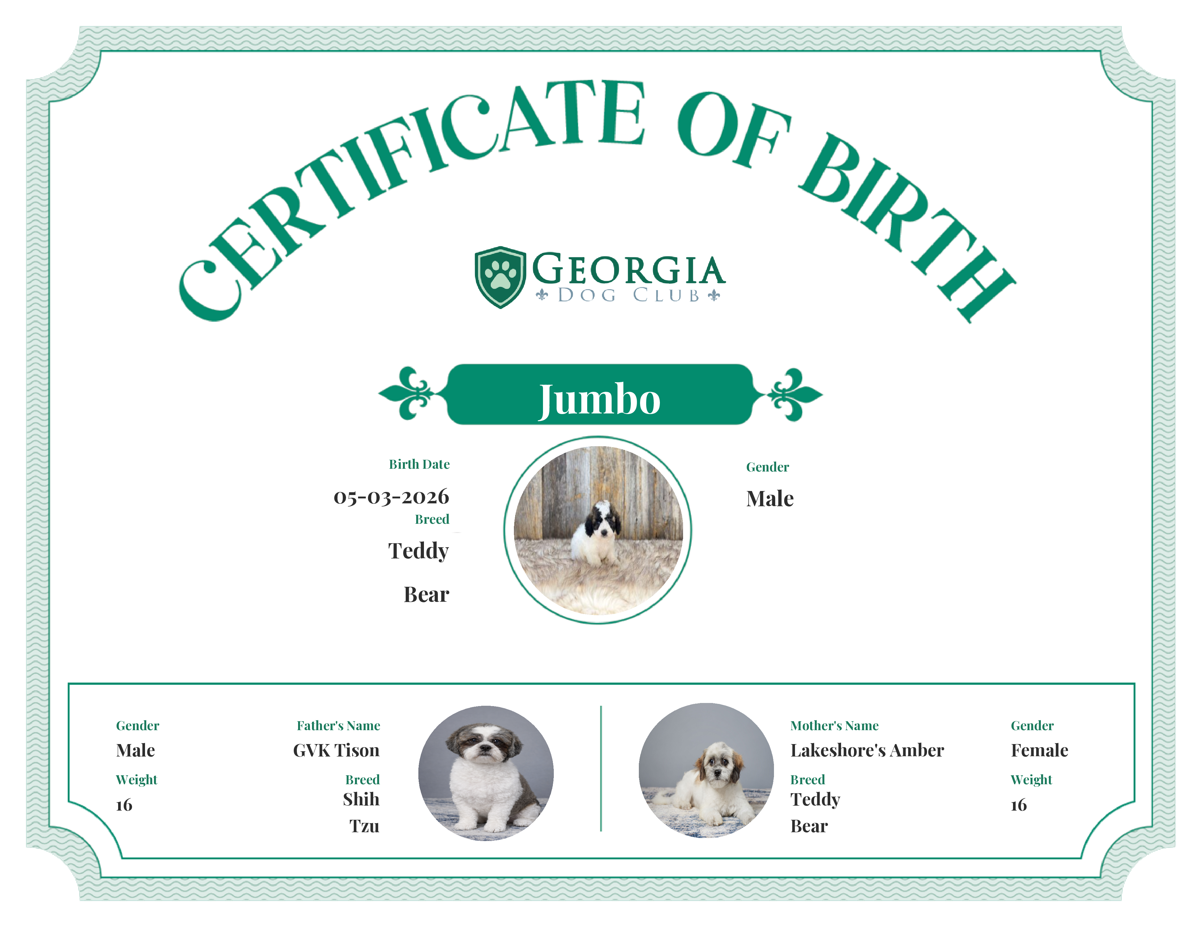 Jumbo's Birth Certificate